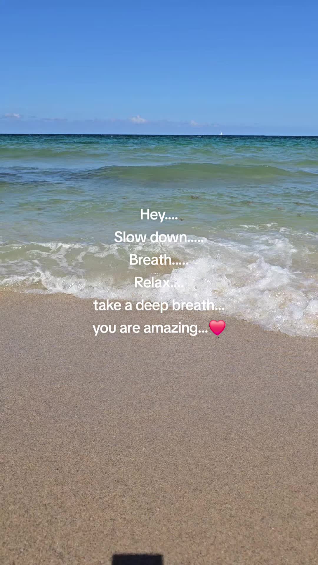 @warrior77