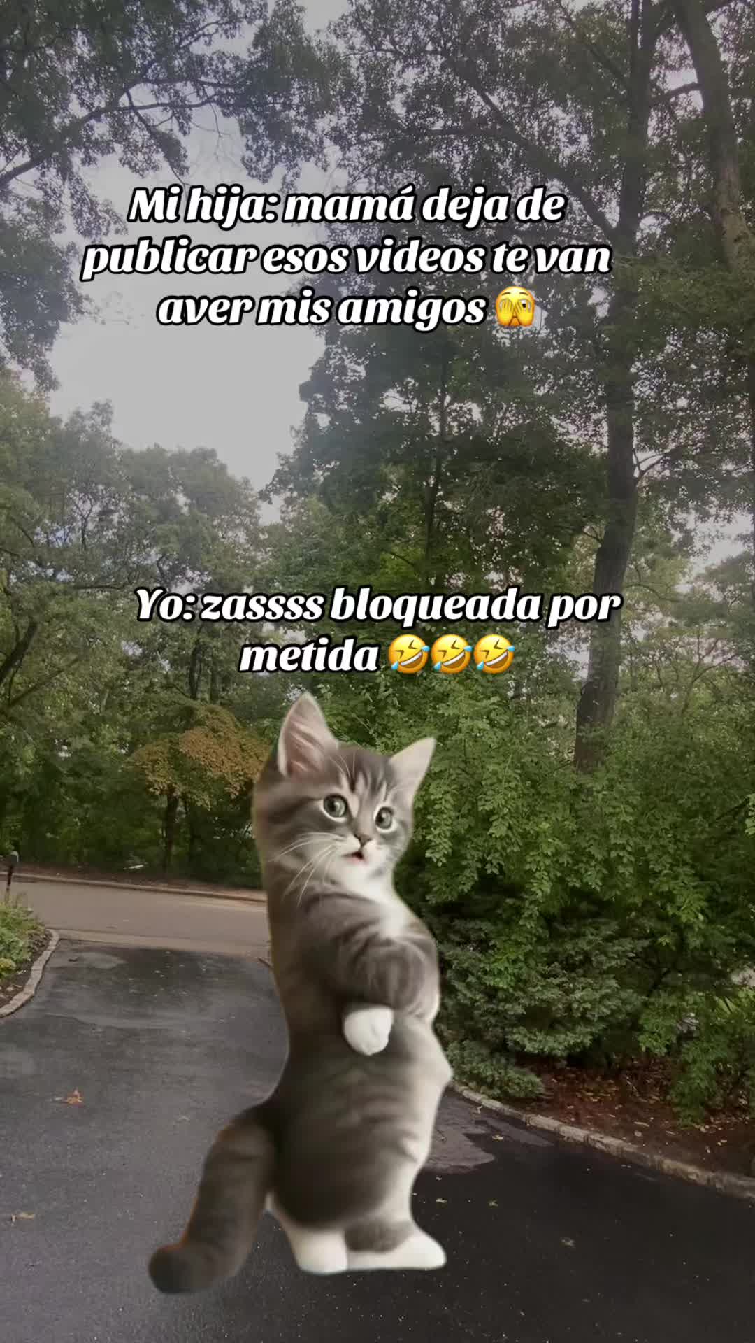 @💛Bonita_Girasol91