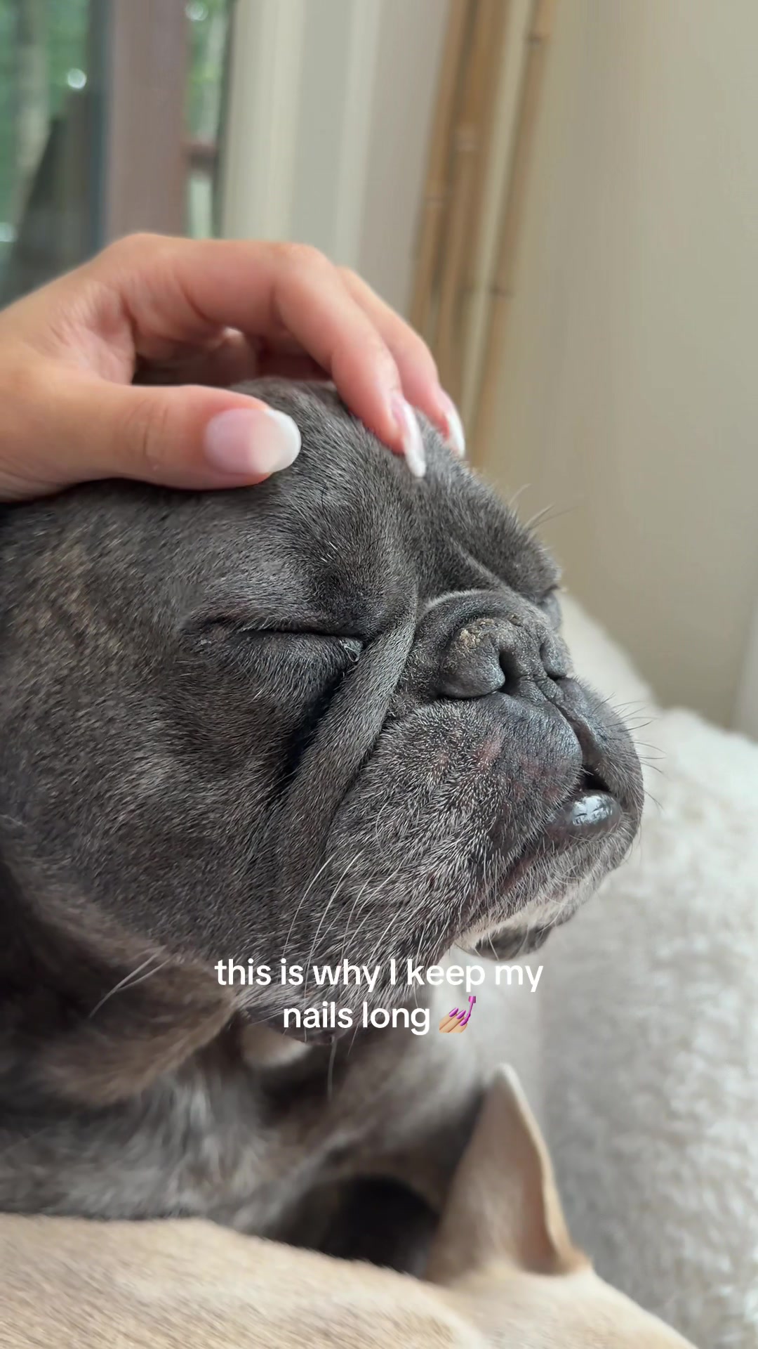 @Winston & Charlie 🐾