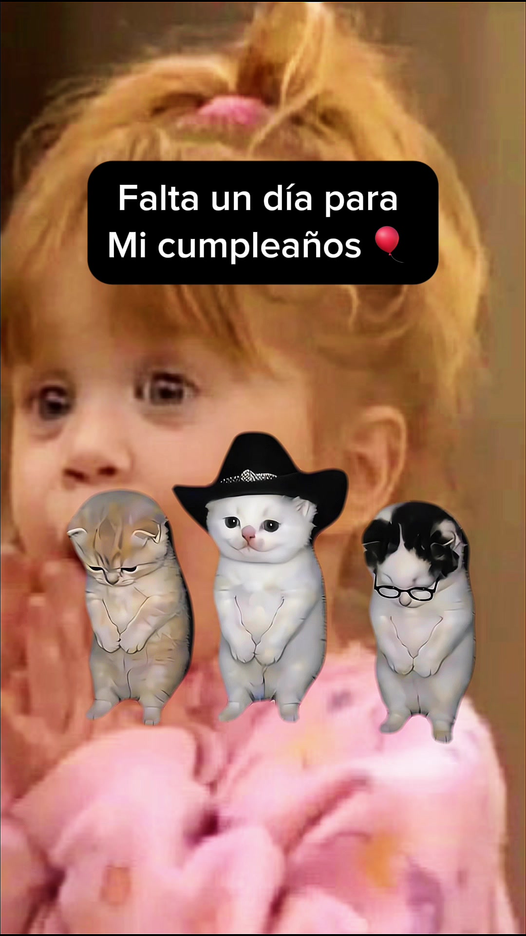 @lolischula