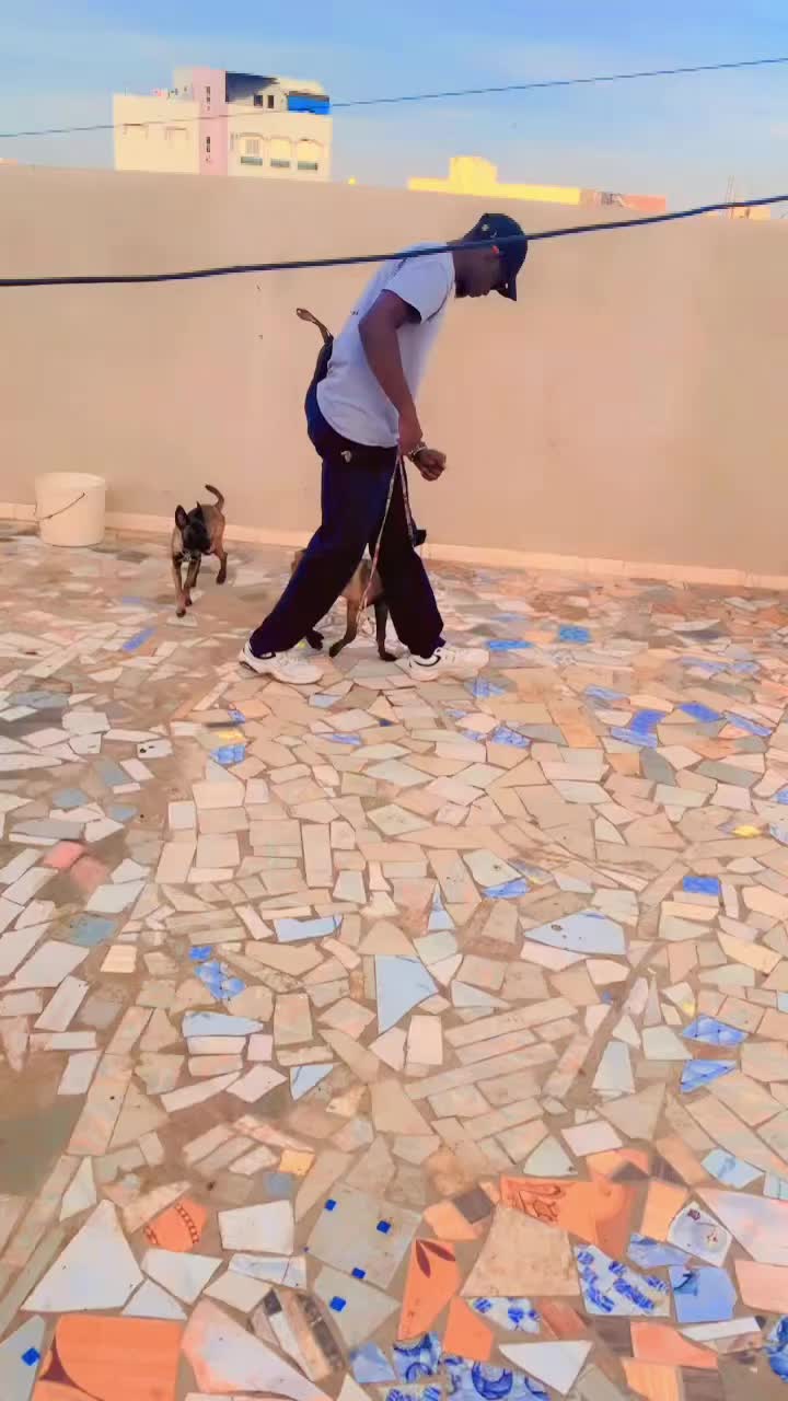 @G.I.C.N 🇸🇳🐾Ma&icirc;tre Weuz🐕&zwj;🦺
