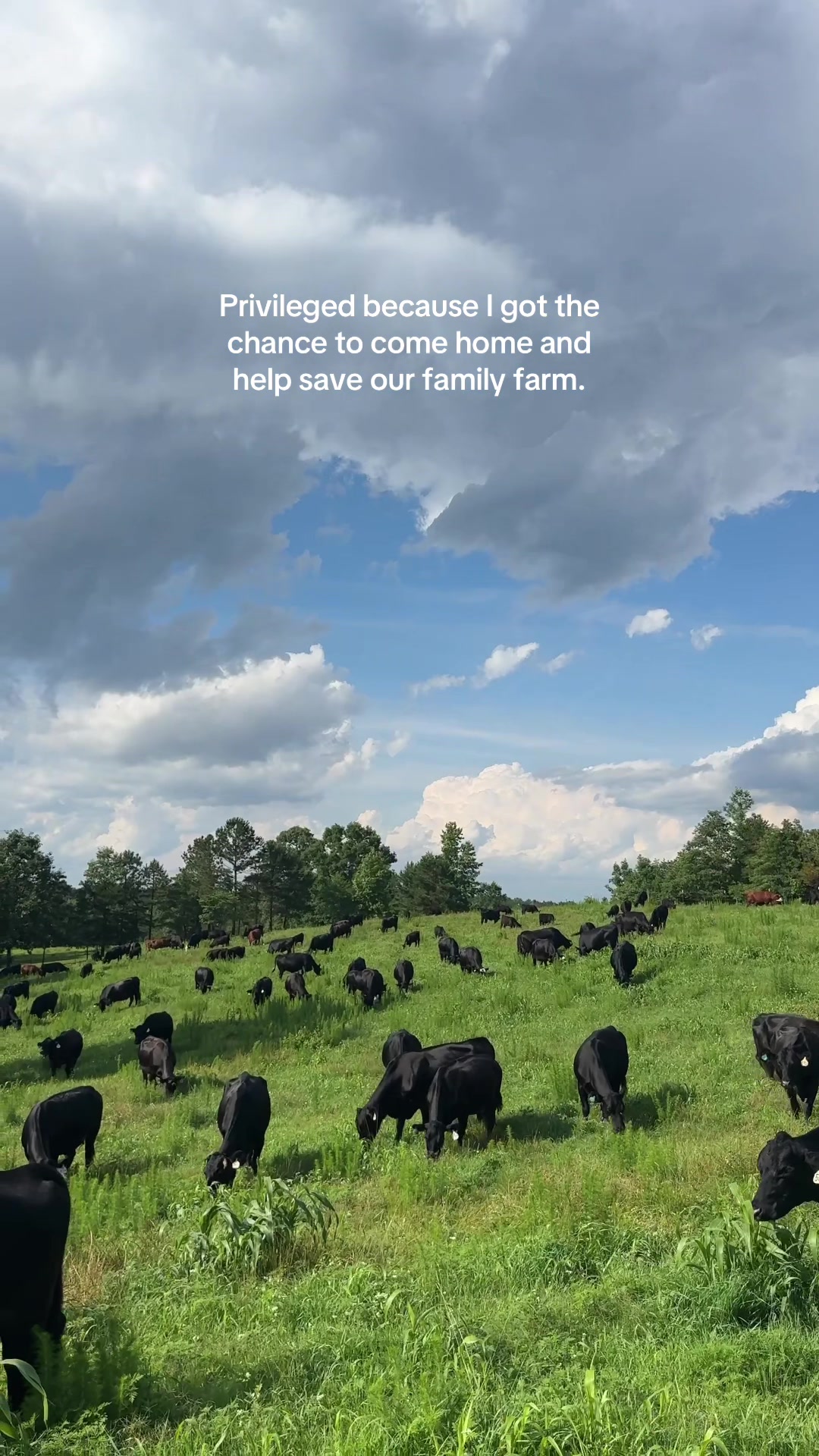 @Lily Hill Farm