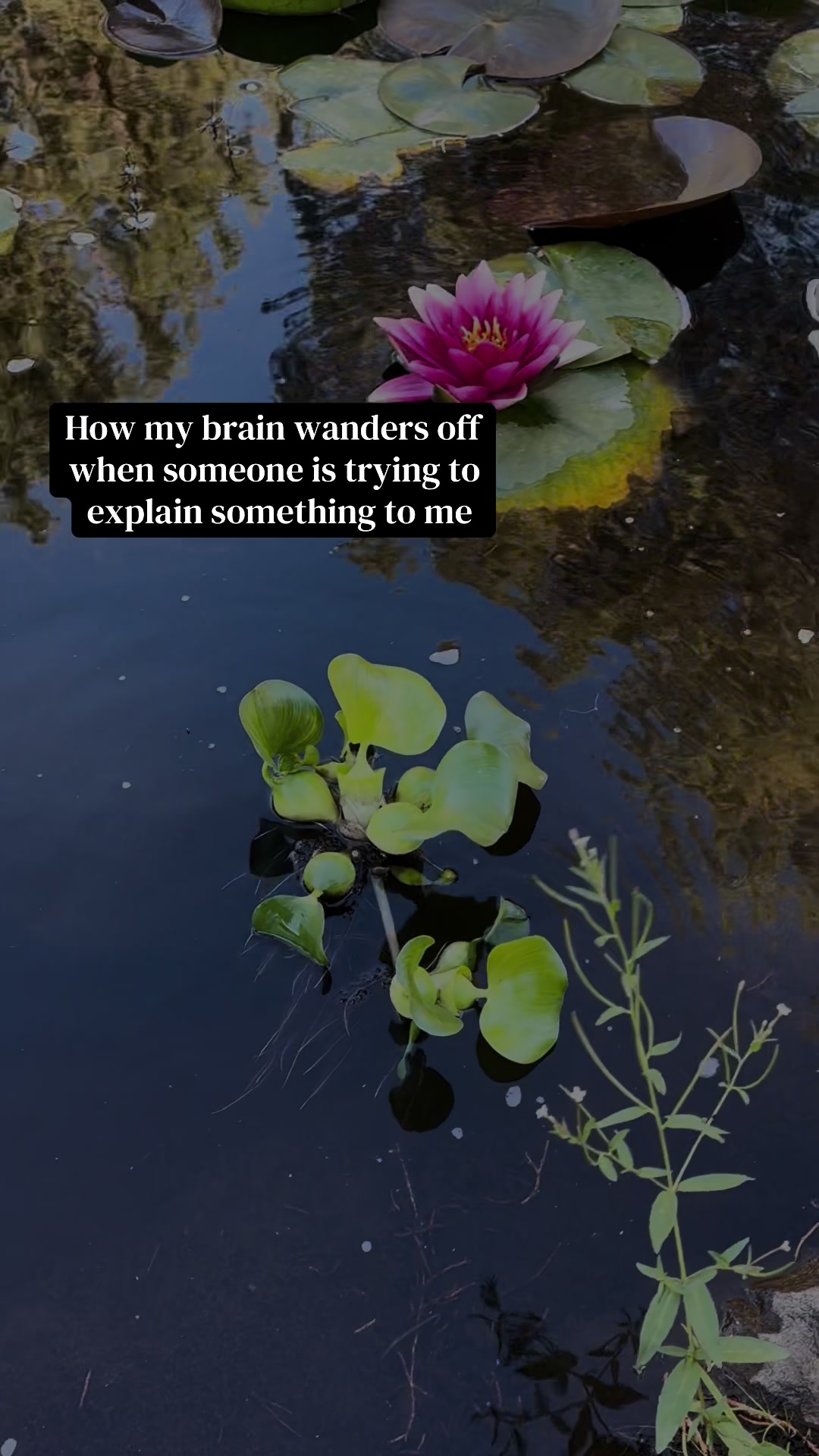 @botanicbane
