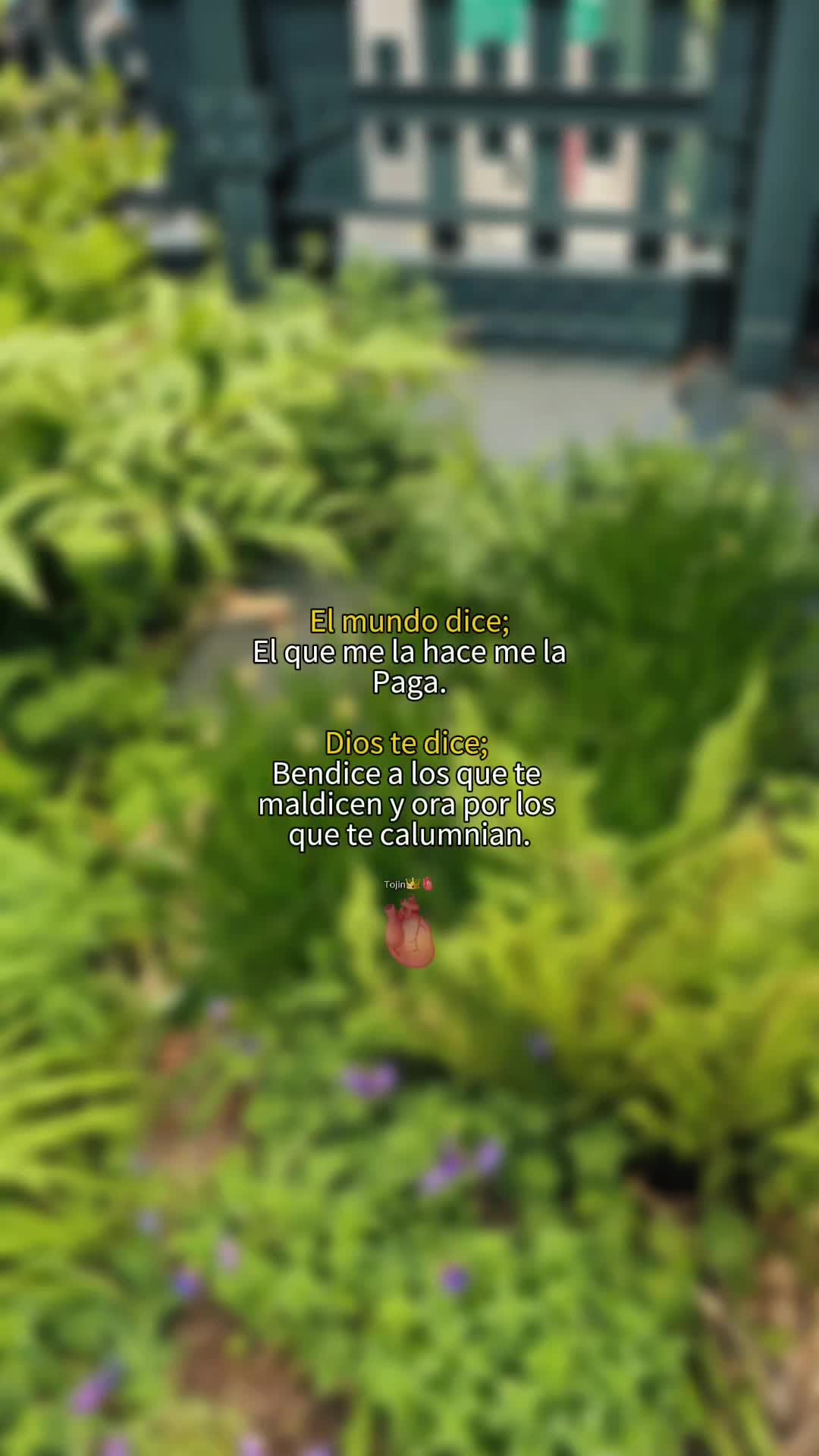 @🙏sin límites 🌎