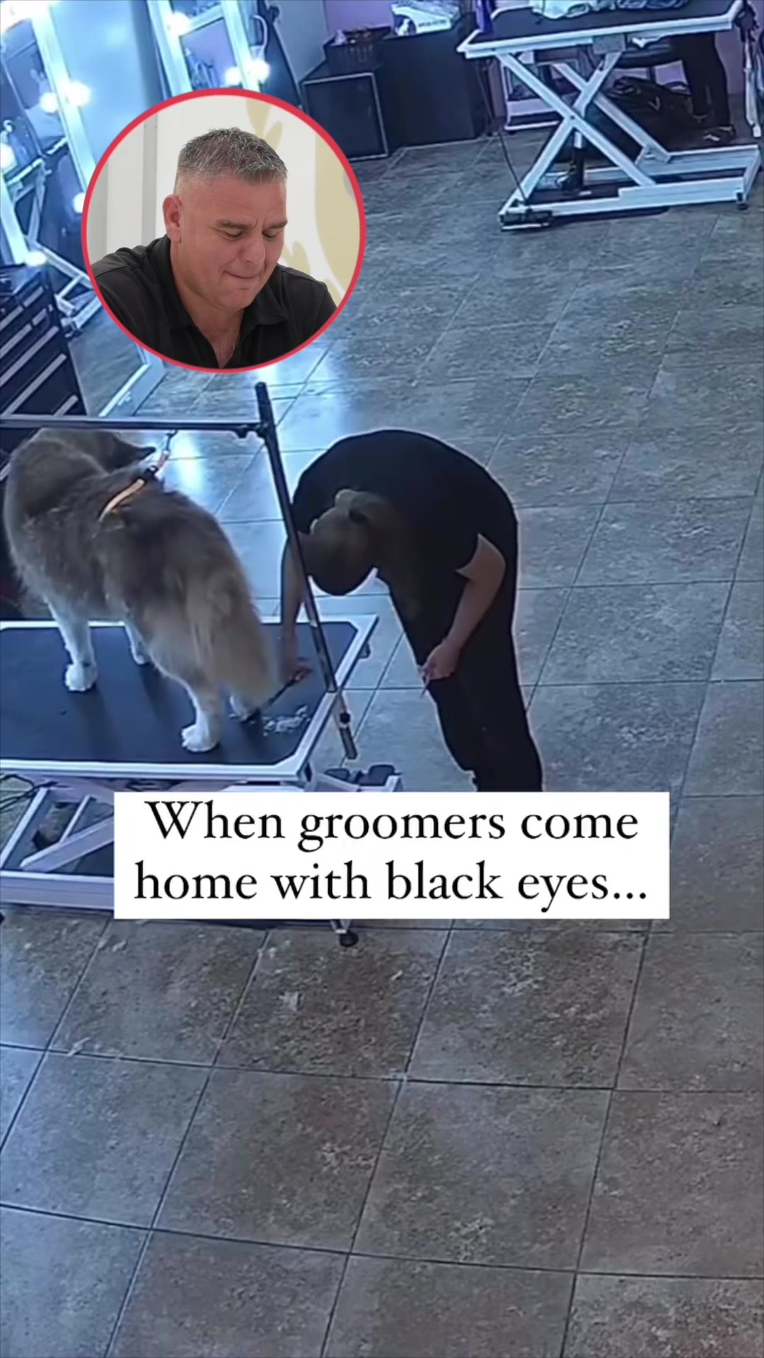 @NorCal Grooming Academy