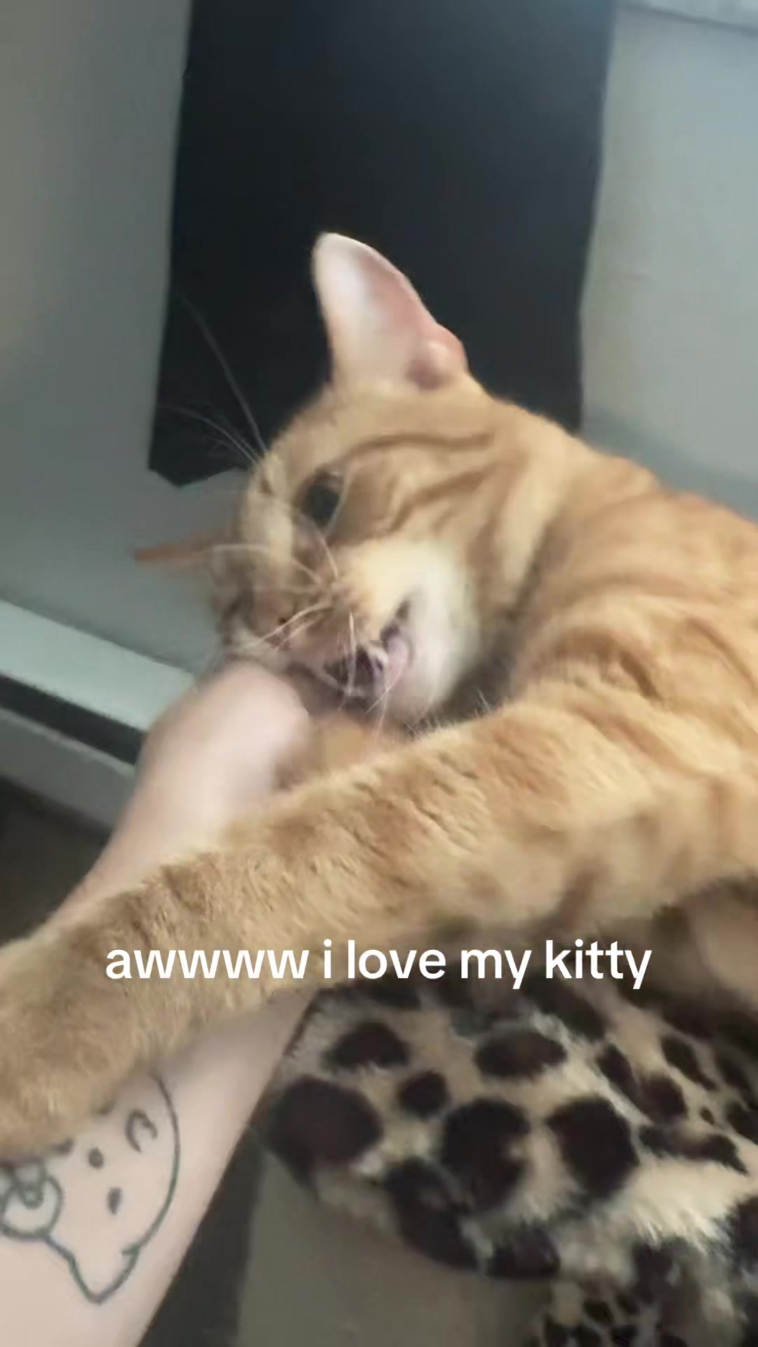 @paige 🎧🐈&zwj;⬛🎞️