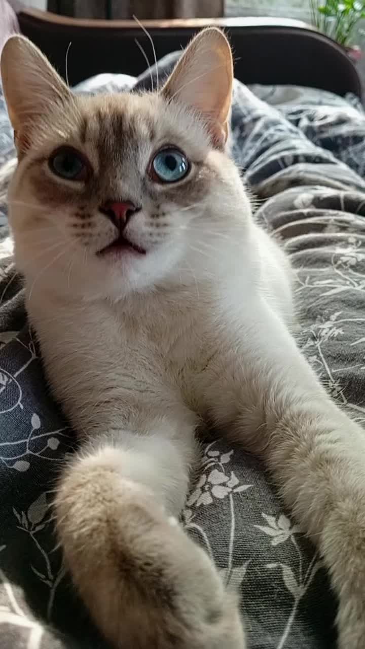 @❤️ ﮩﮩ٨ــﮩـــ𝑀𝒾𝓁𝒶