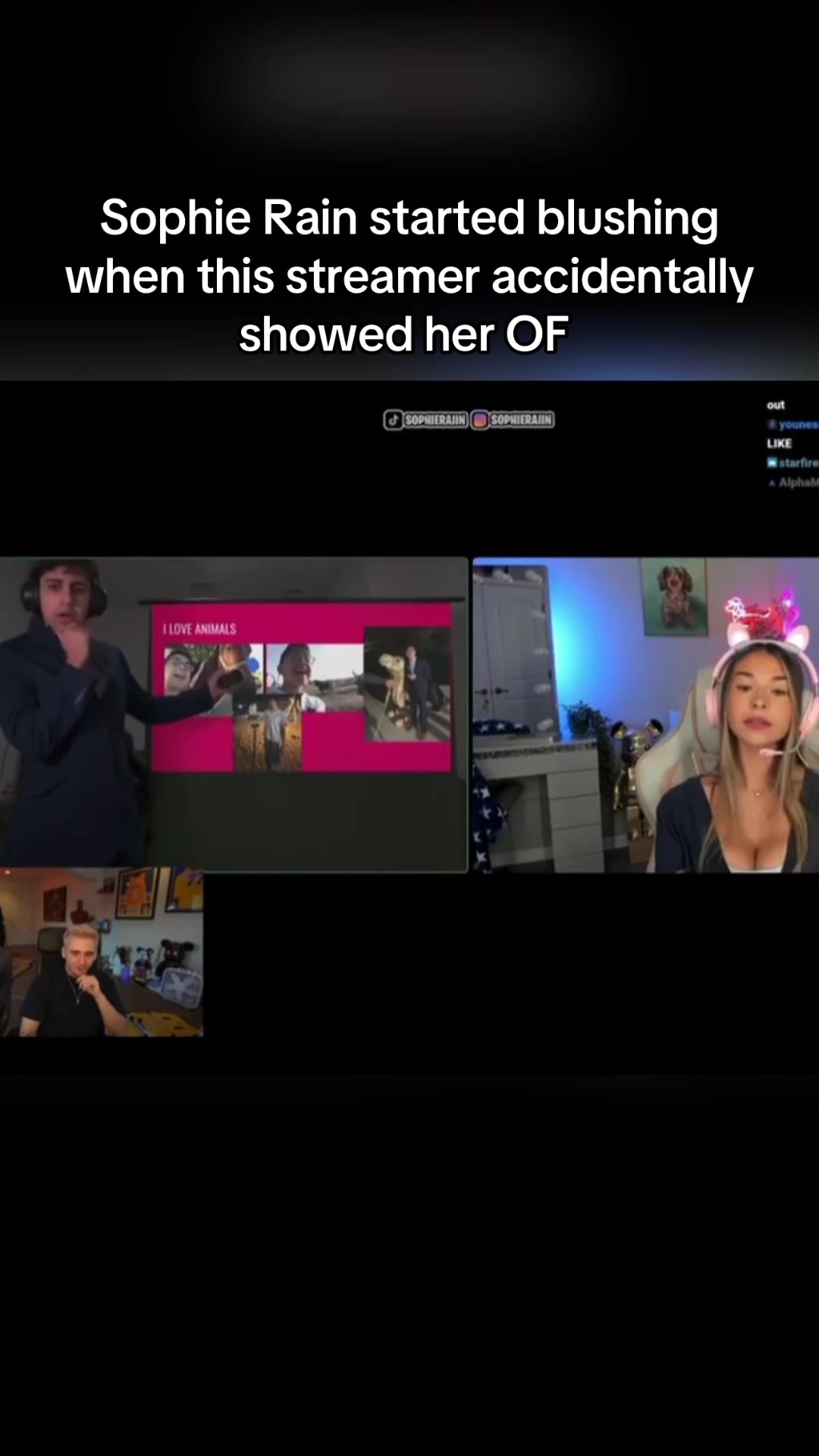 @Perfectclips