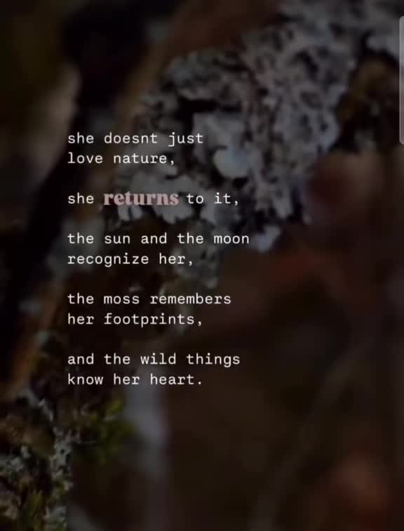 @🌵