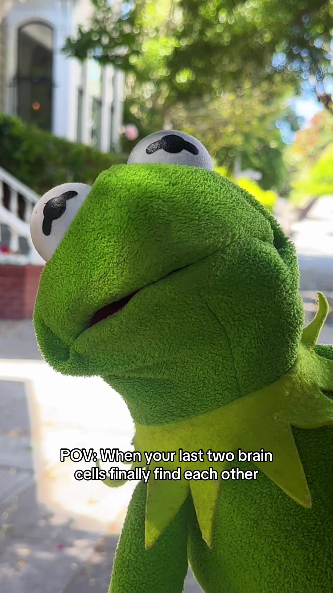 @🐸 Crashout Kermy 🐸