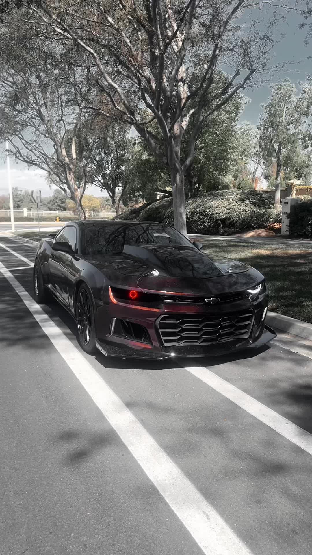 @Miles_6.2