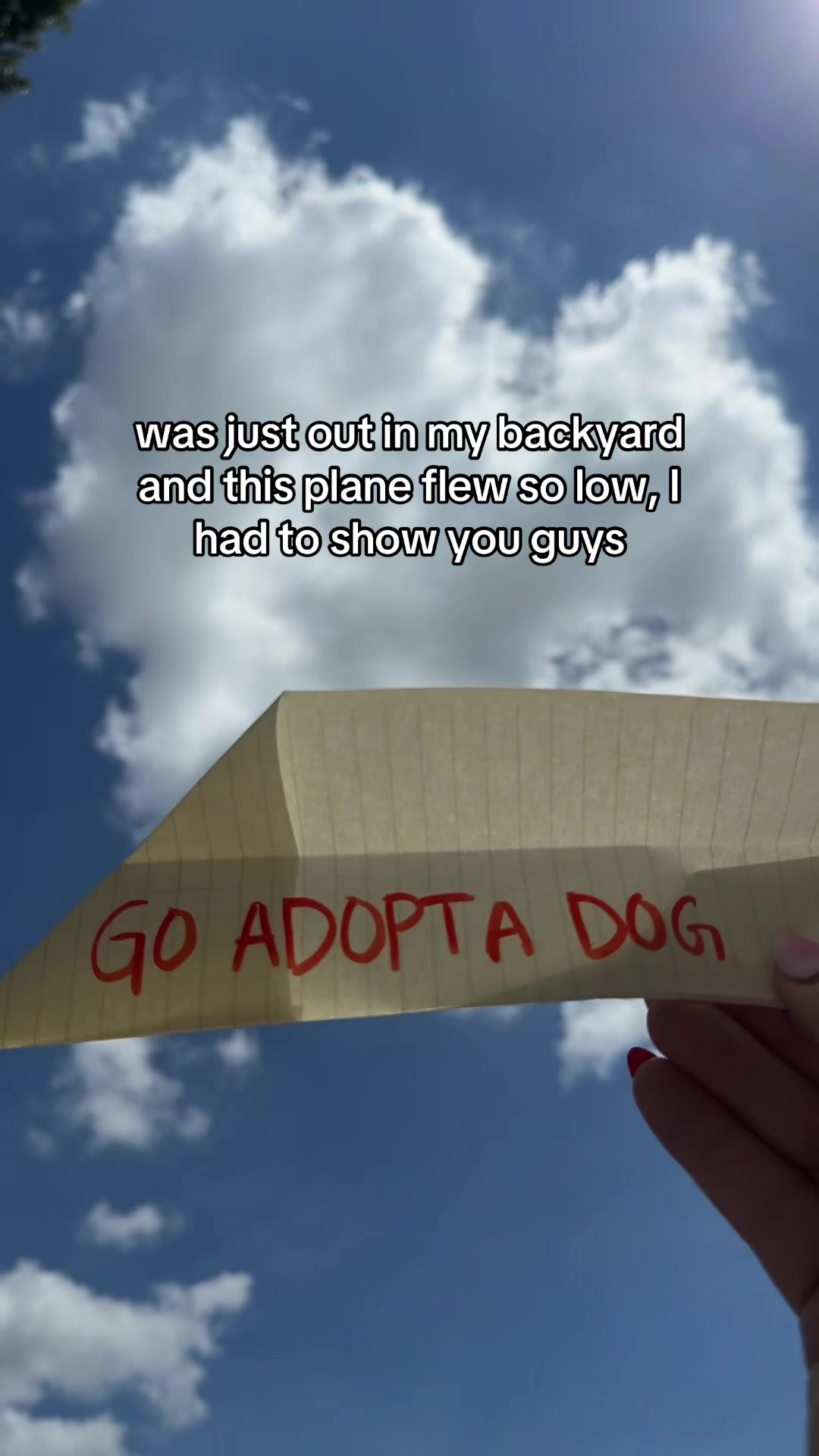@Adopt a Pet