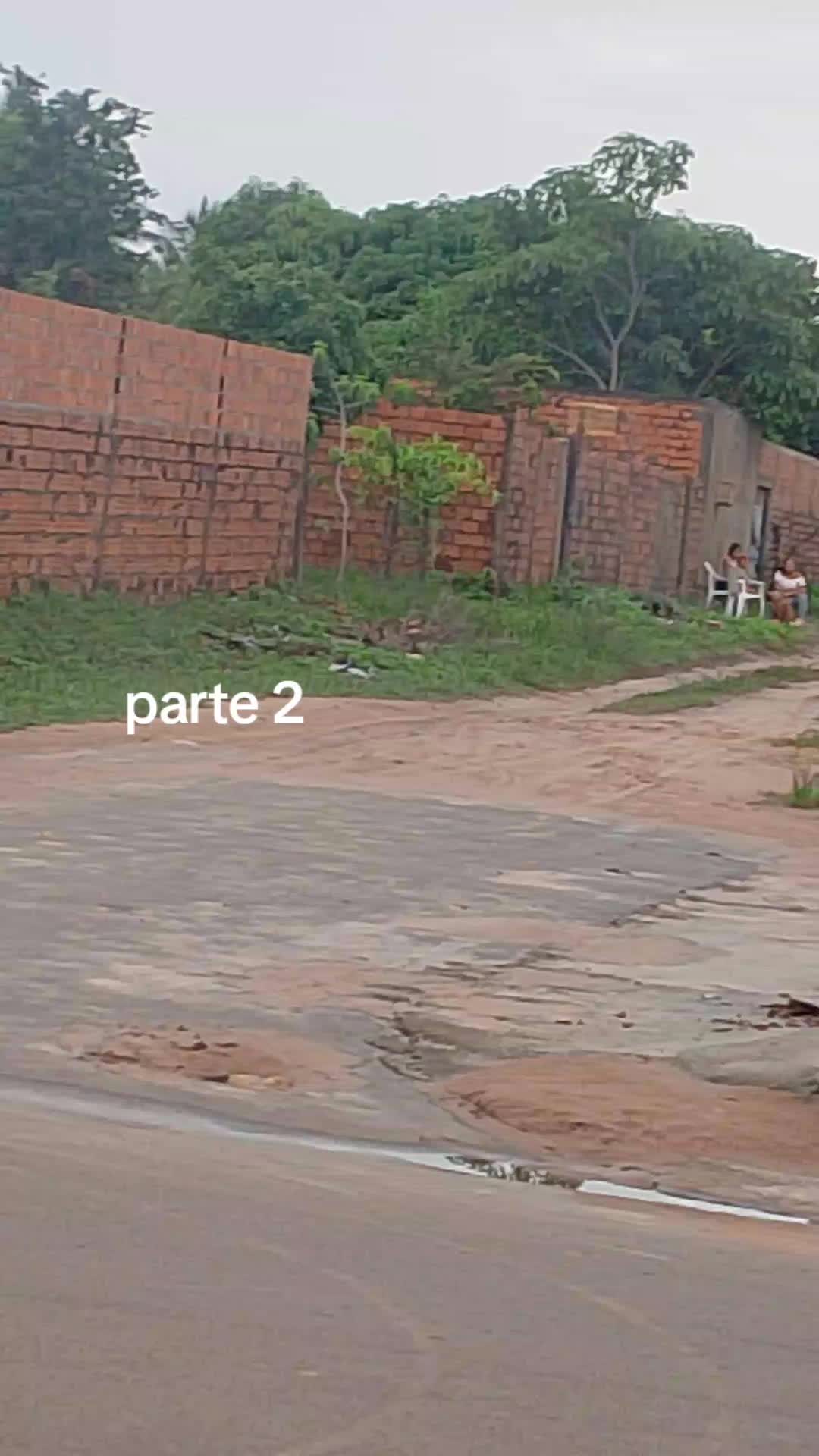 @elly cardoso