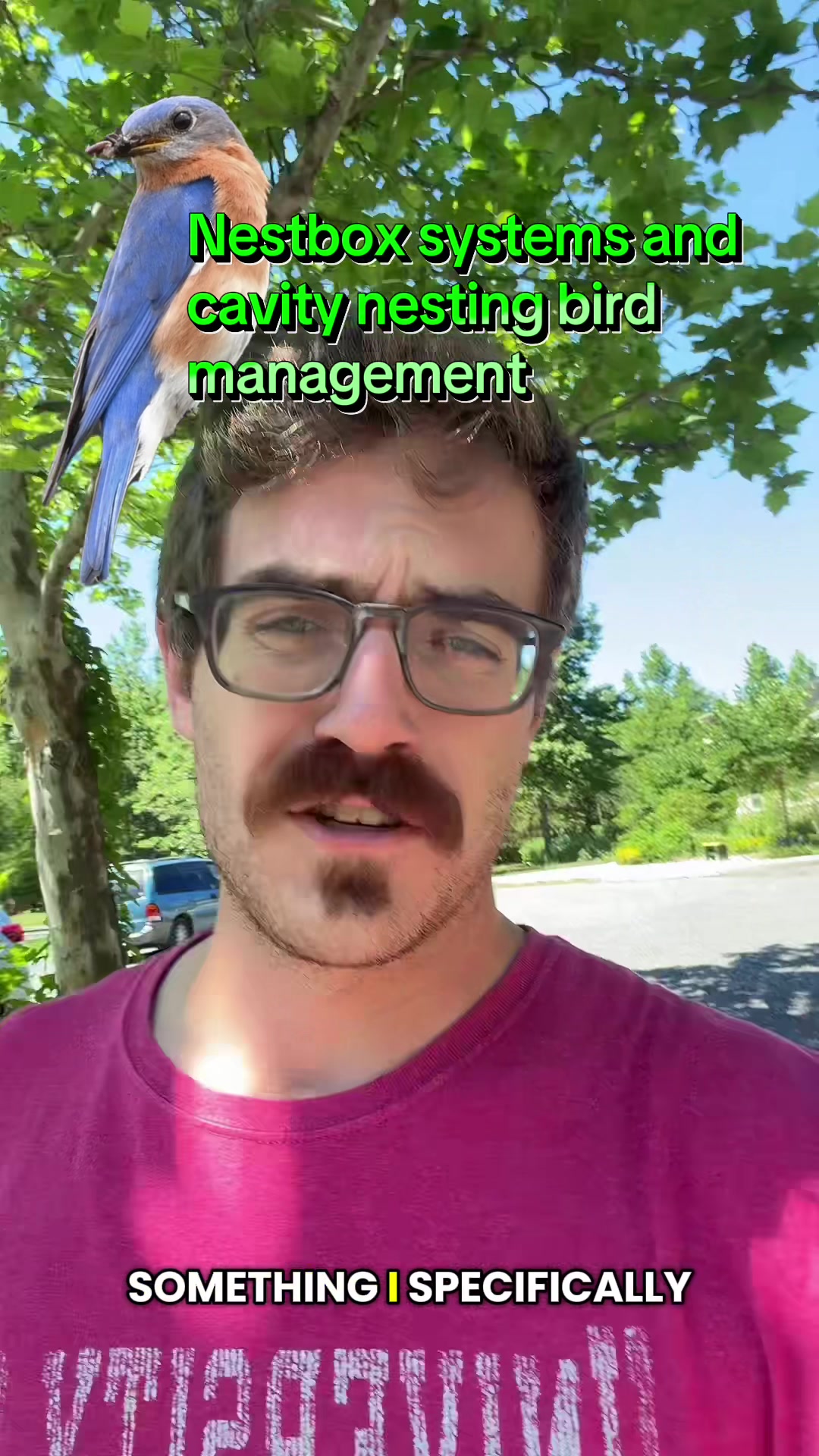 @KeepItScruffy PhD