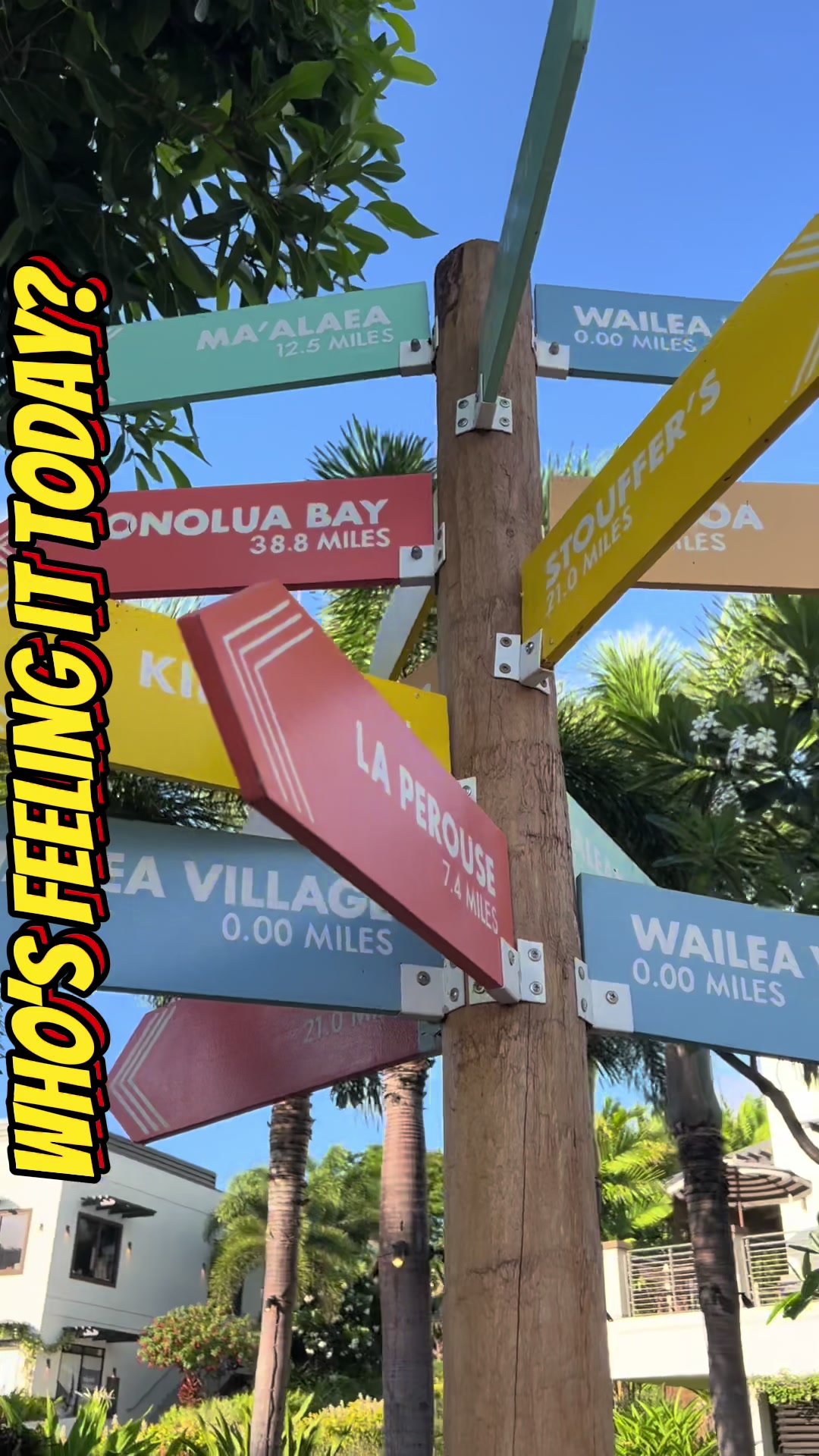 @damienawaimaui