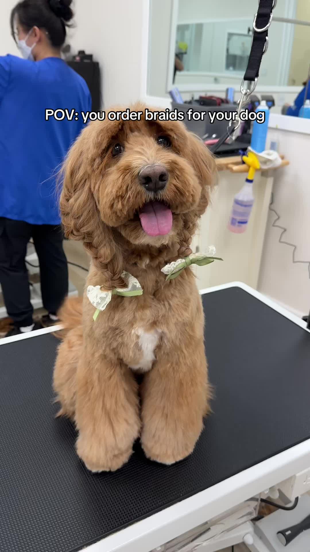 @NorCal Grooming Academy