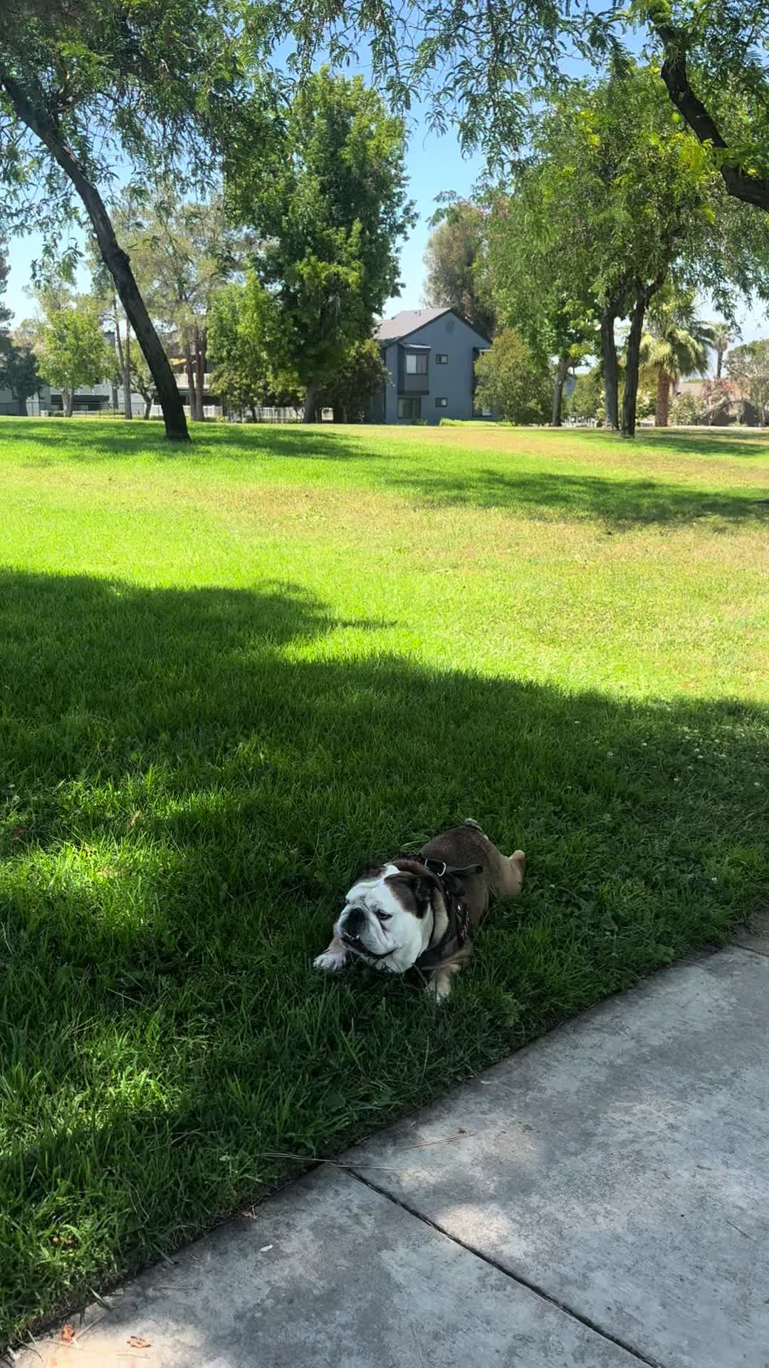 @Taco 🐶🧿
