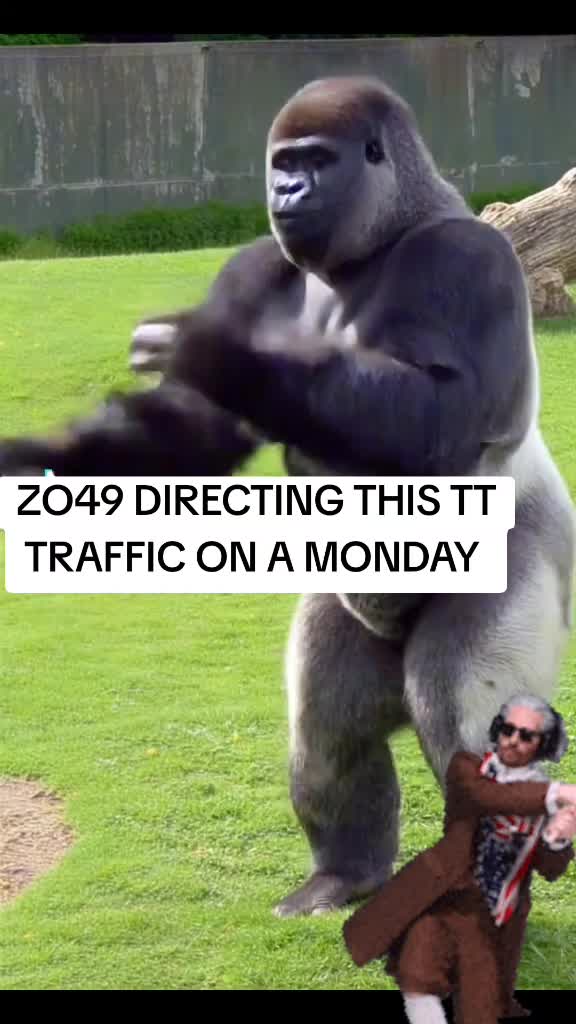 @Zo49 ❌️