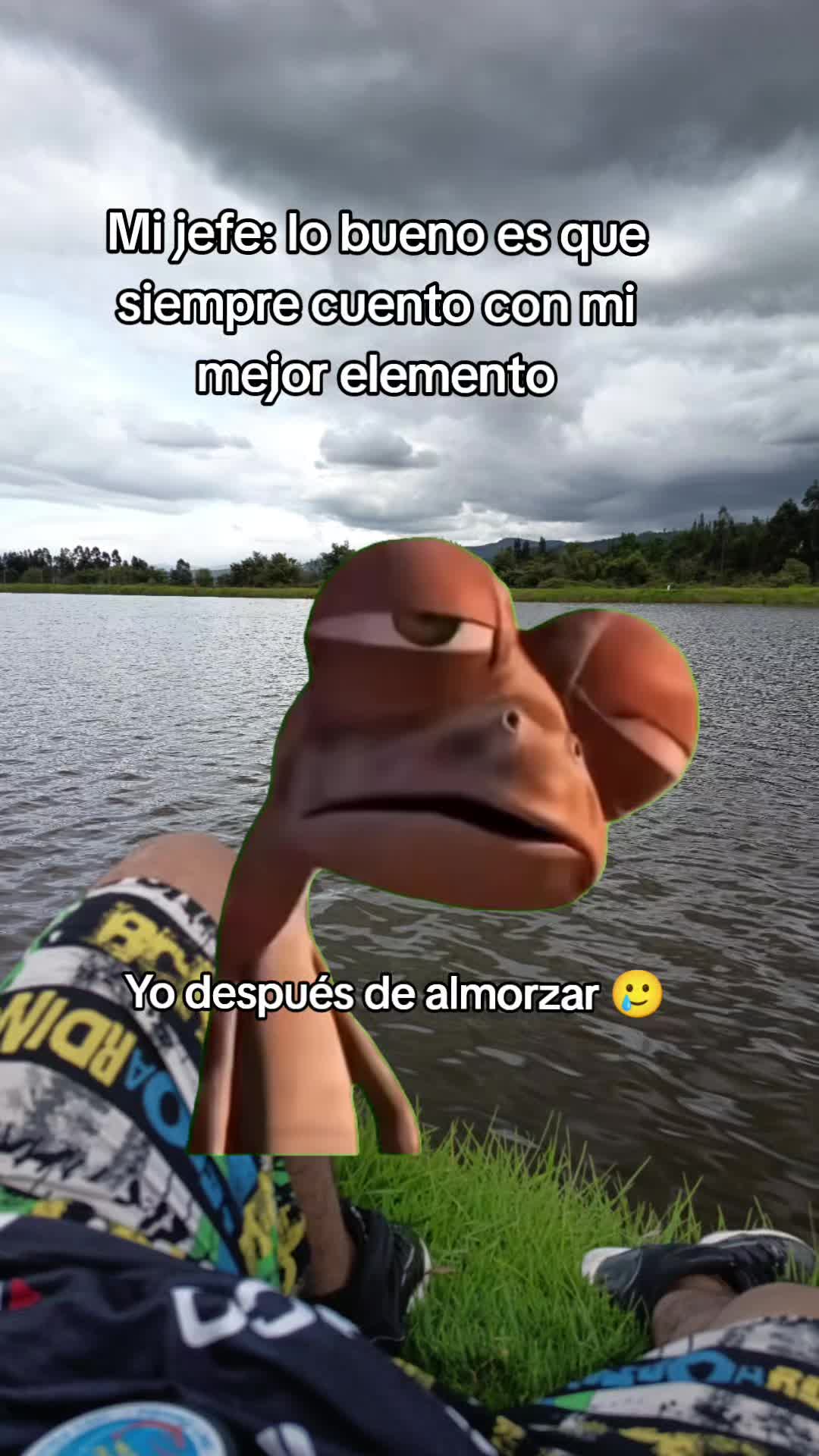 @Farid