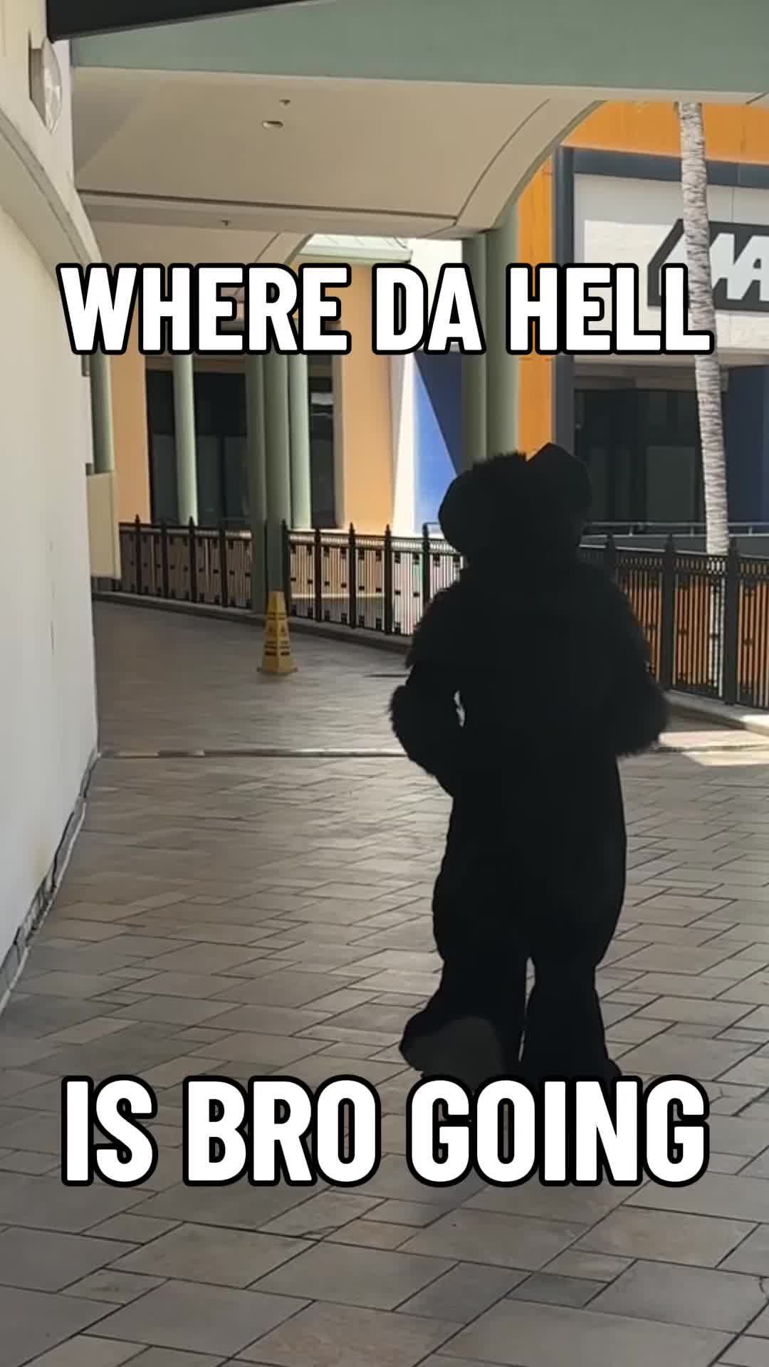 @T4zer