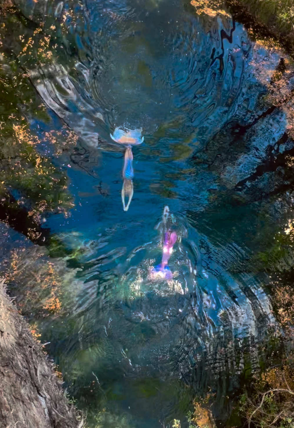 @Coralia Dives ๐งโ๏ธ
