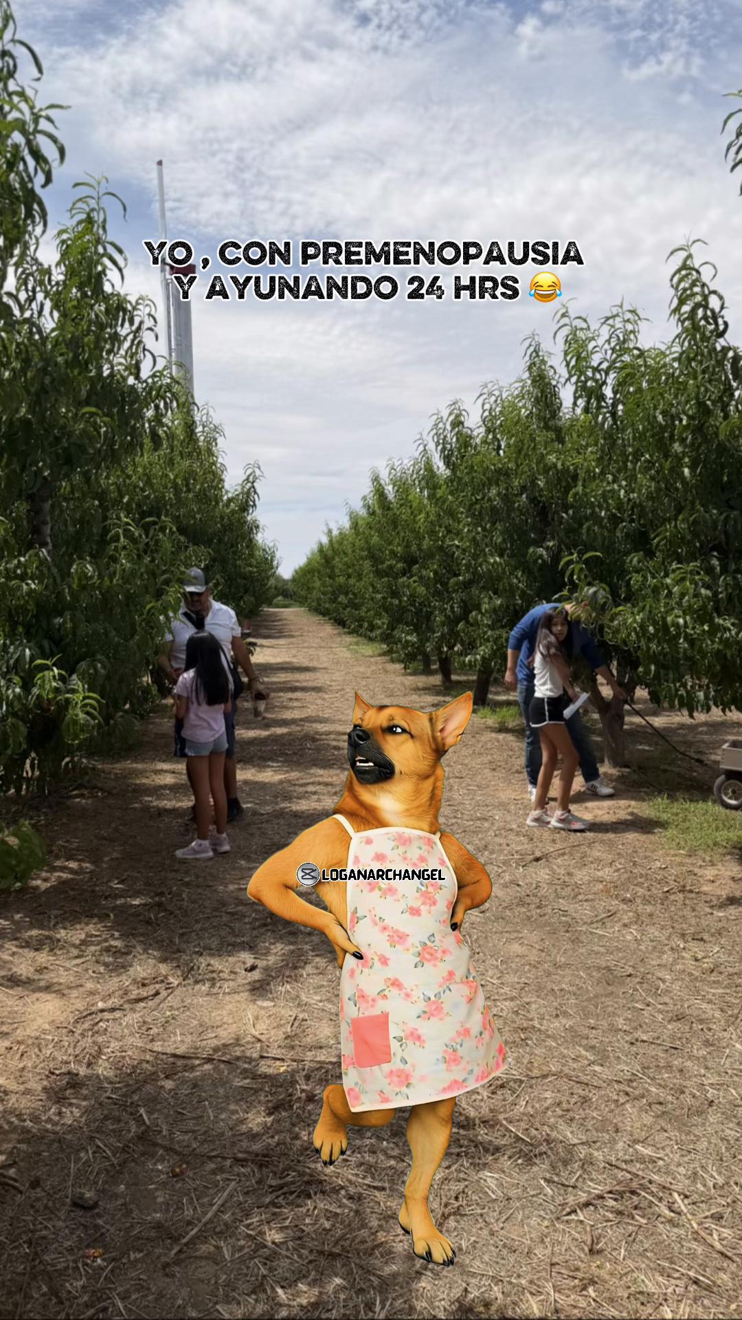 @Belen Leyva