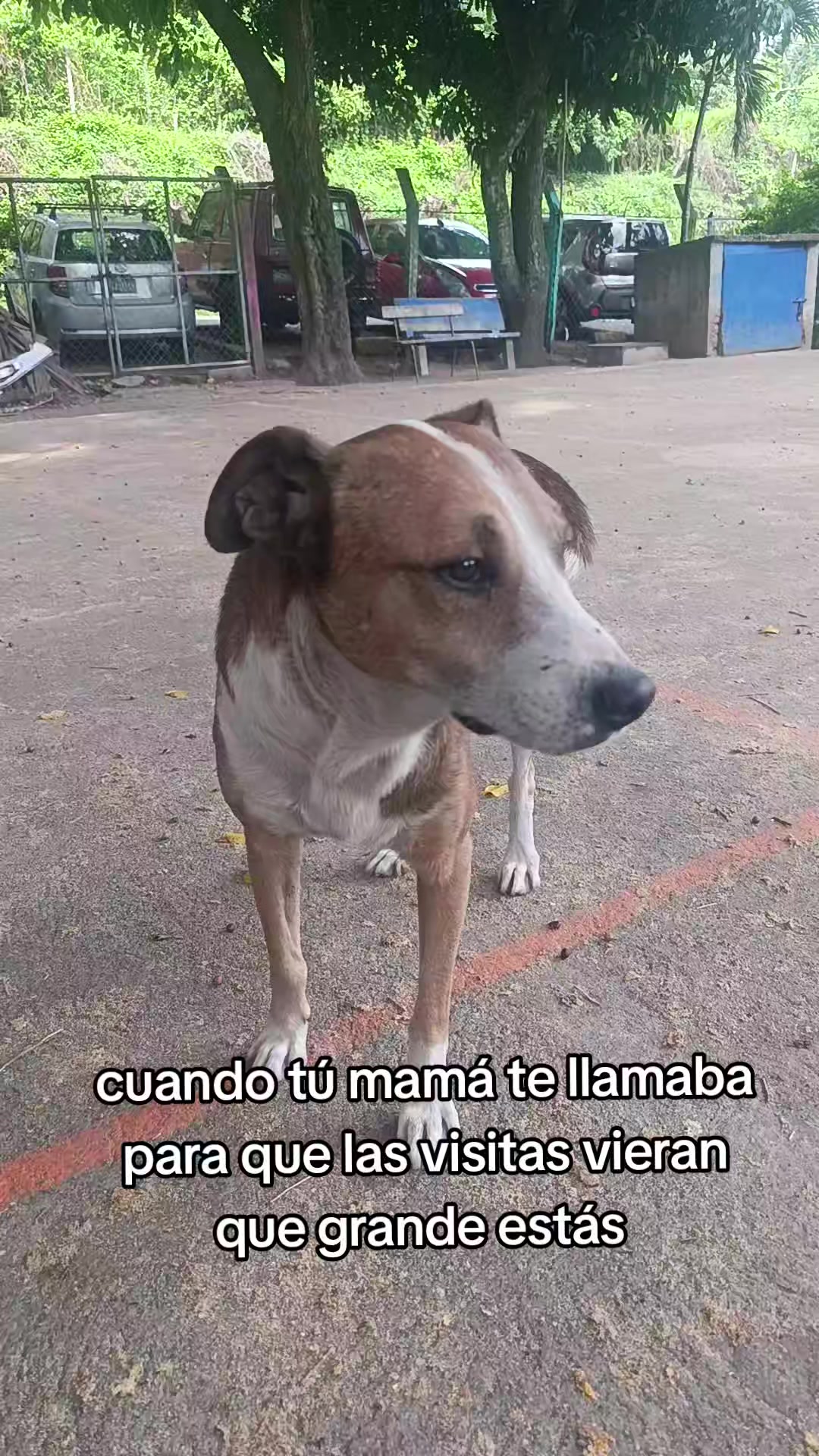 @Fran