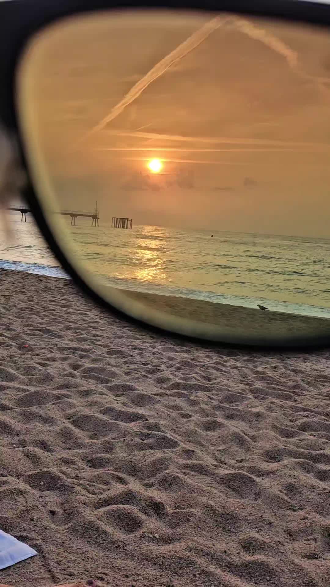 @Śladami Zebry