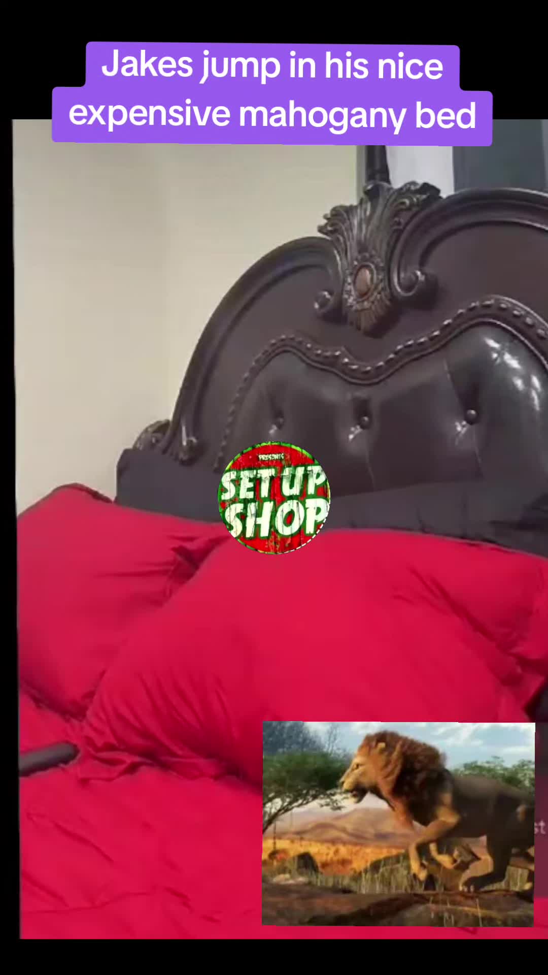 @SETUPSHOPLOG