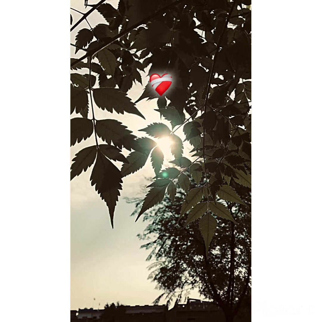 @پنجاب ❤️🩹