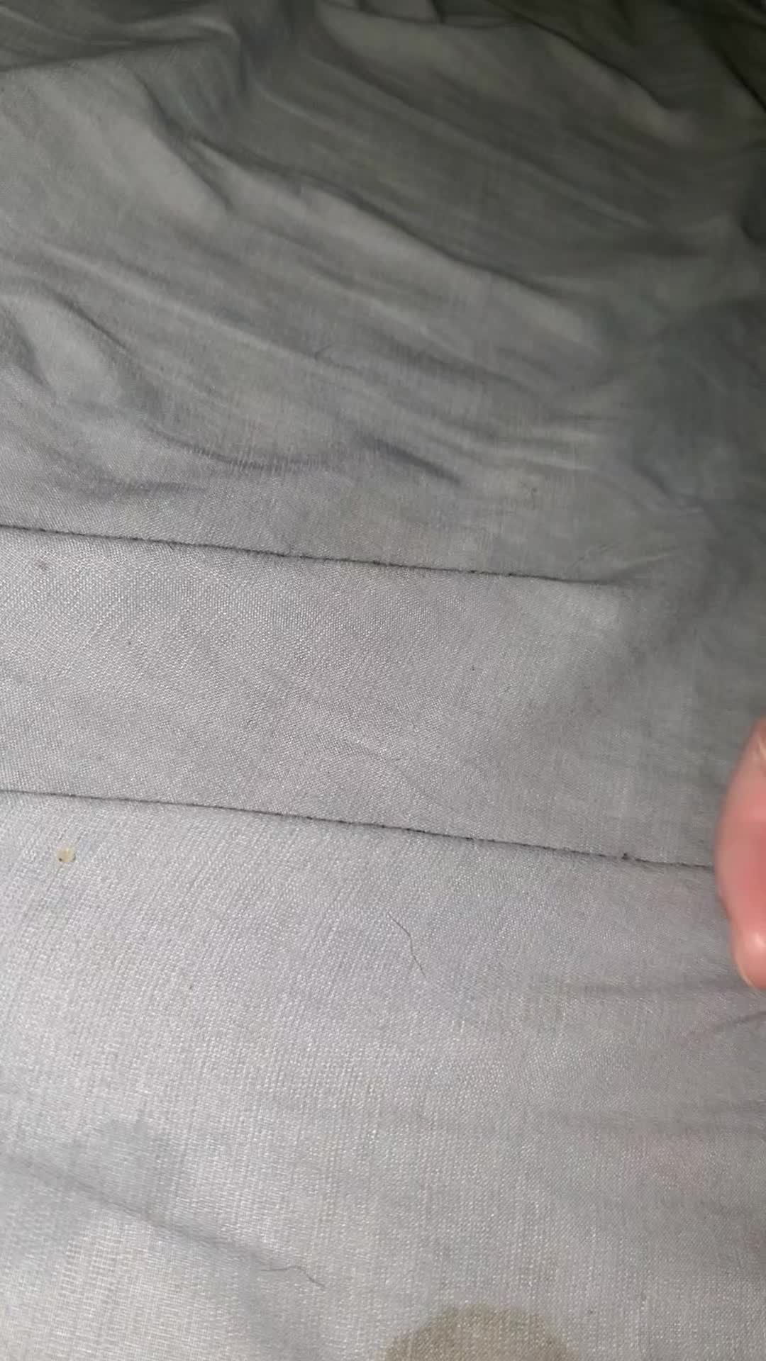 @pikababy⁷