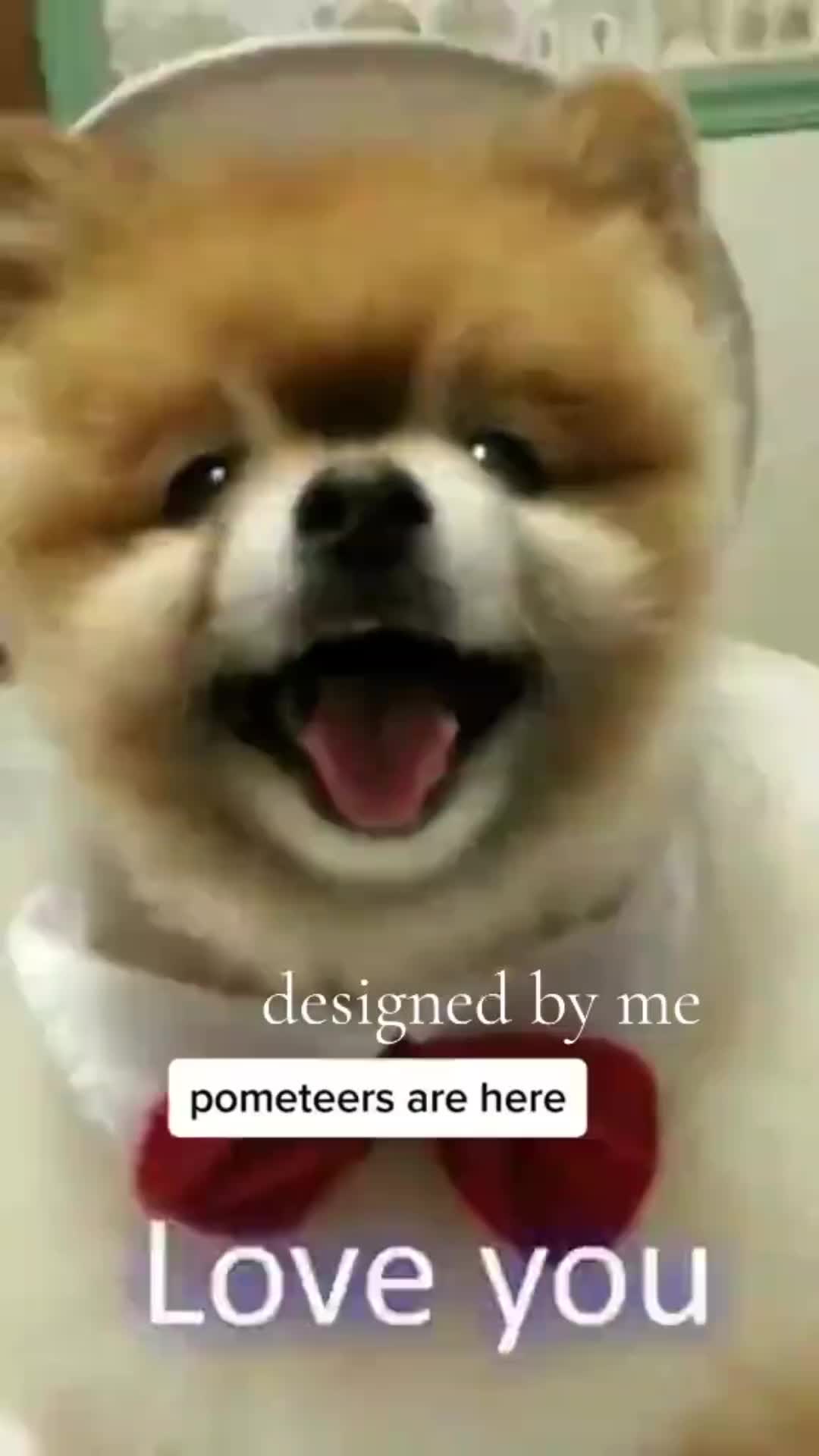 @sherroneb62