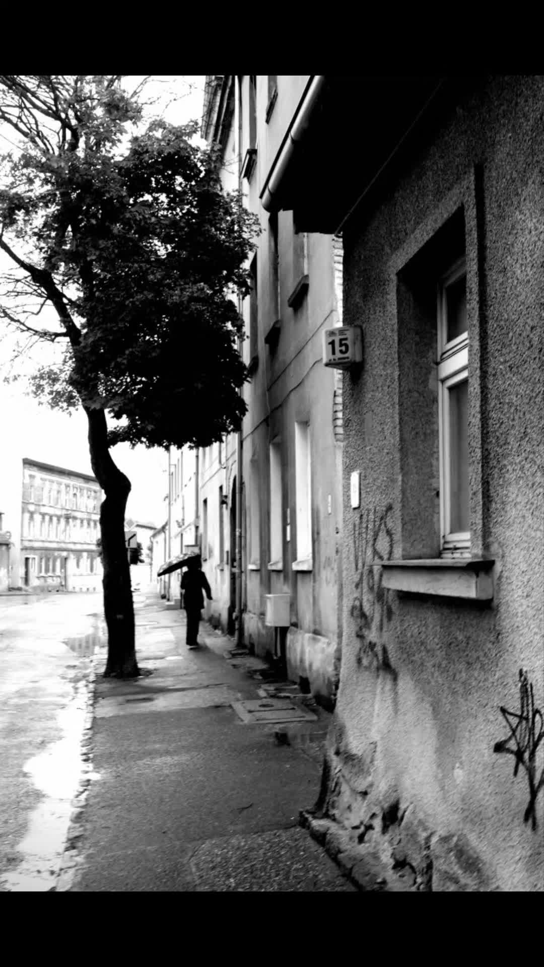 @B&W Photography