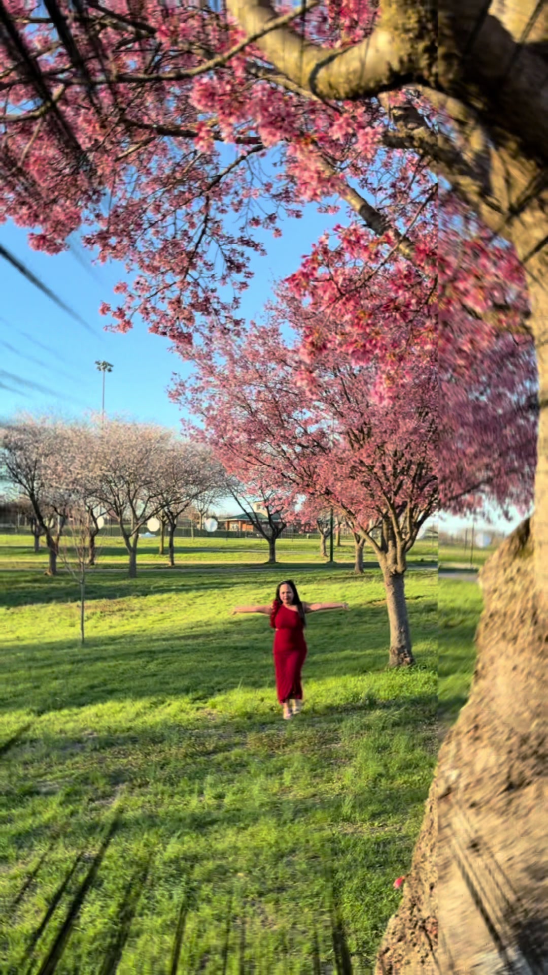 @travel@RNsheng🇵🇭🇺🇸