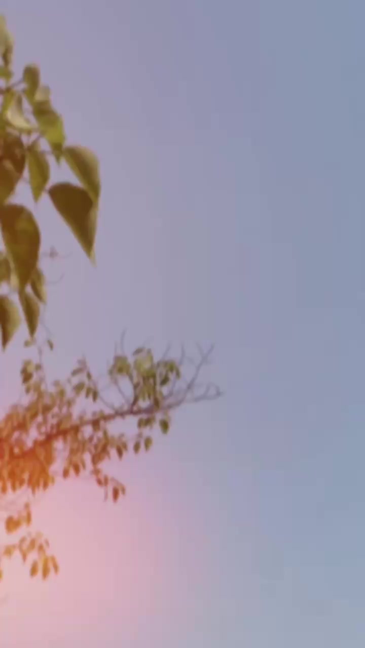 @𝒁𝒐𝑯𝑨𝒊𝑩