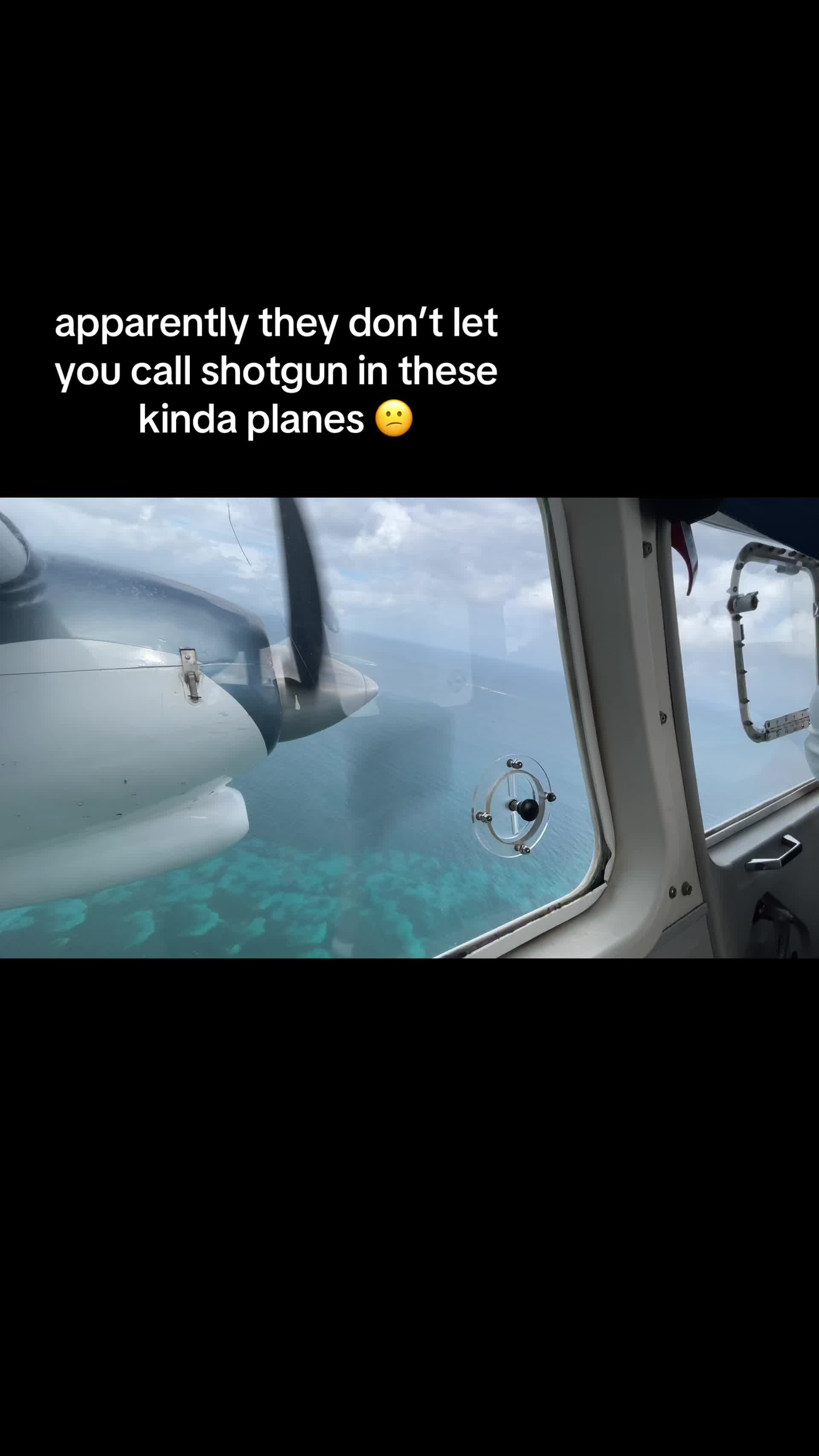 @Cat