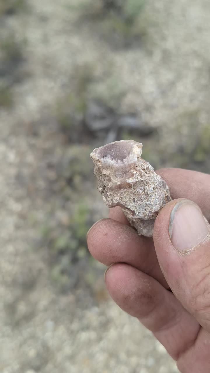 @Nevada HIGHDesert
