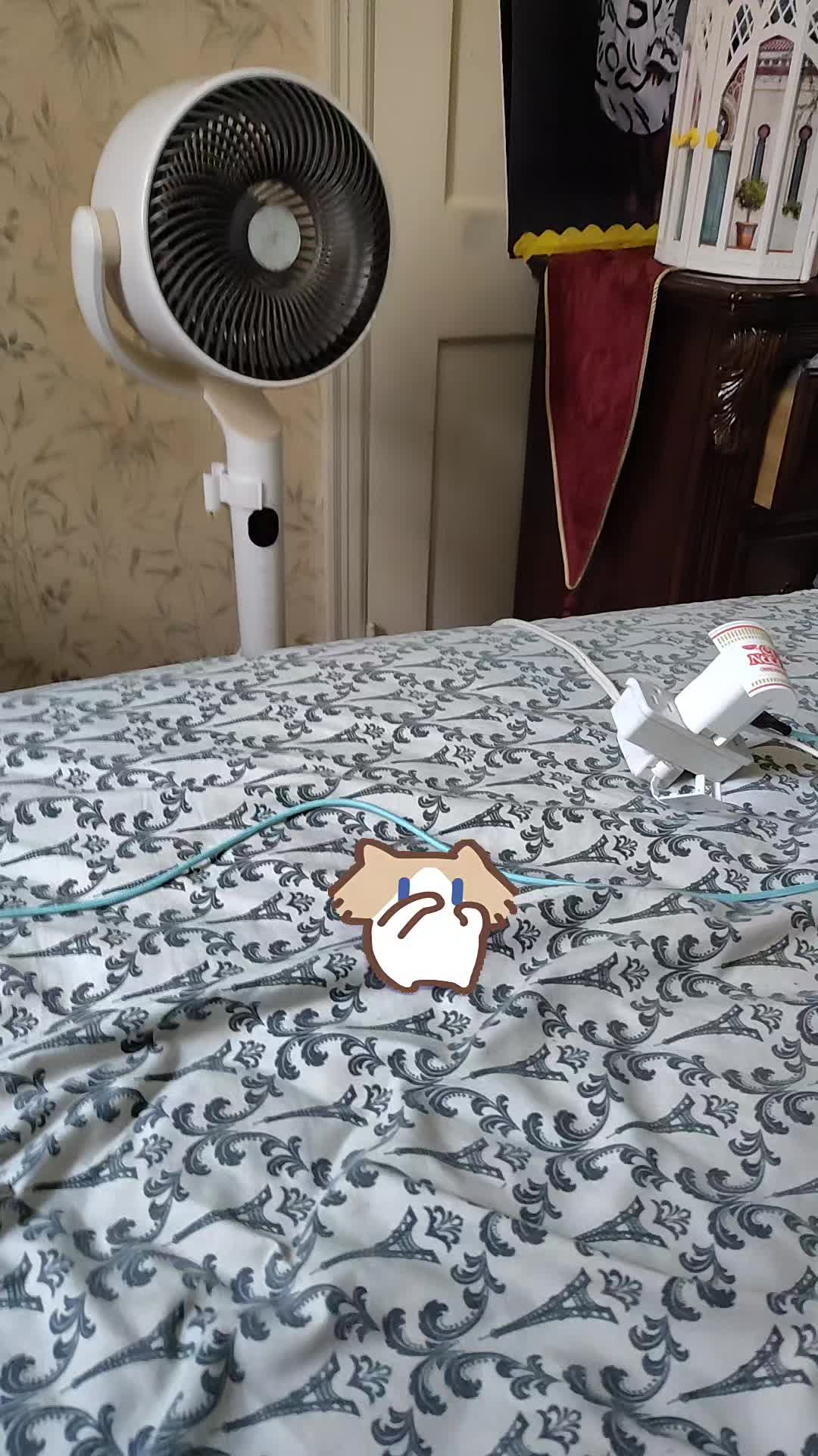 @Katseyefan567