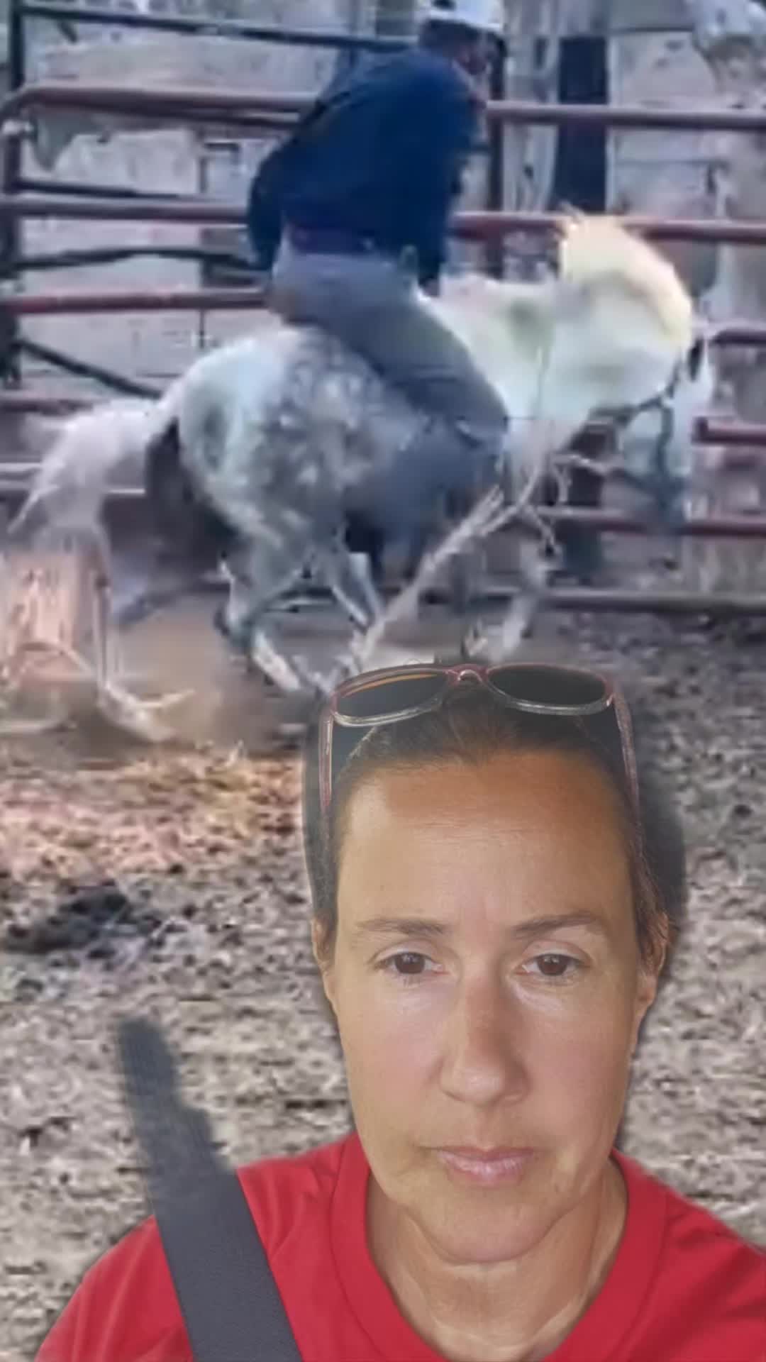 @DressageHub