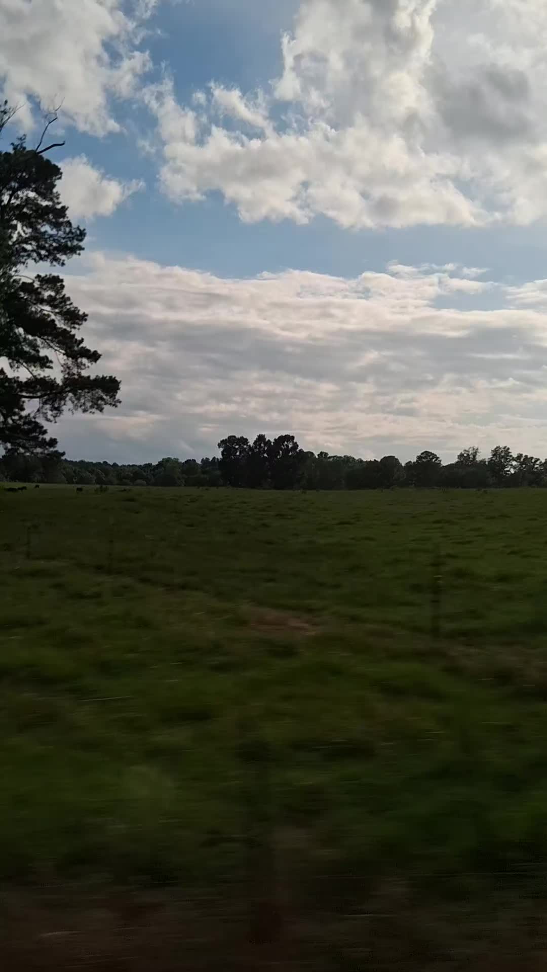 @Tony Alabama