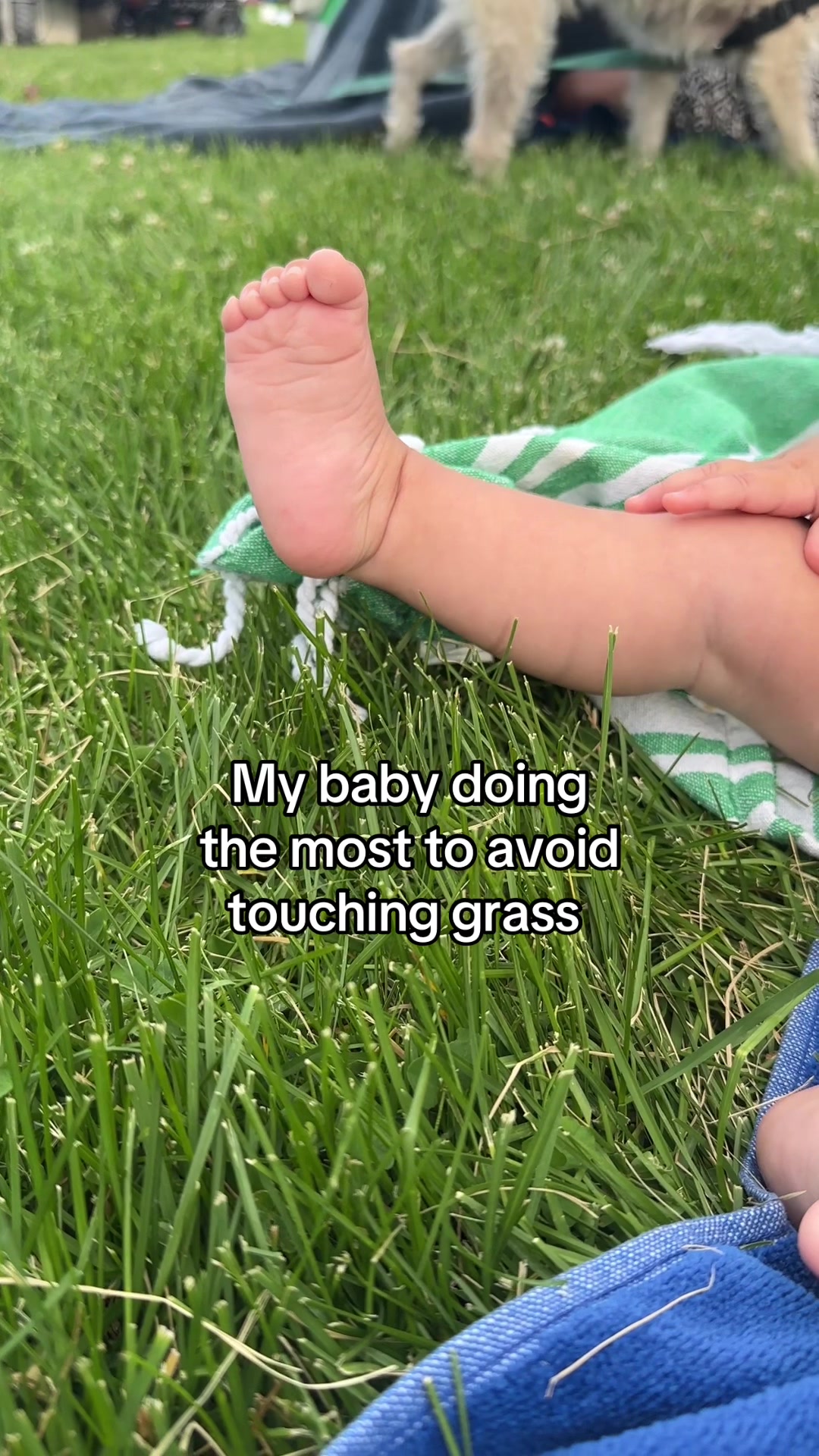 @Carlie &bull; Denver Mom