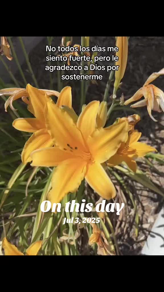 @Karliitaa_69