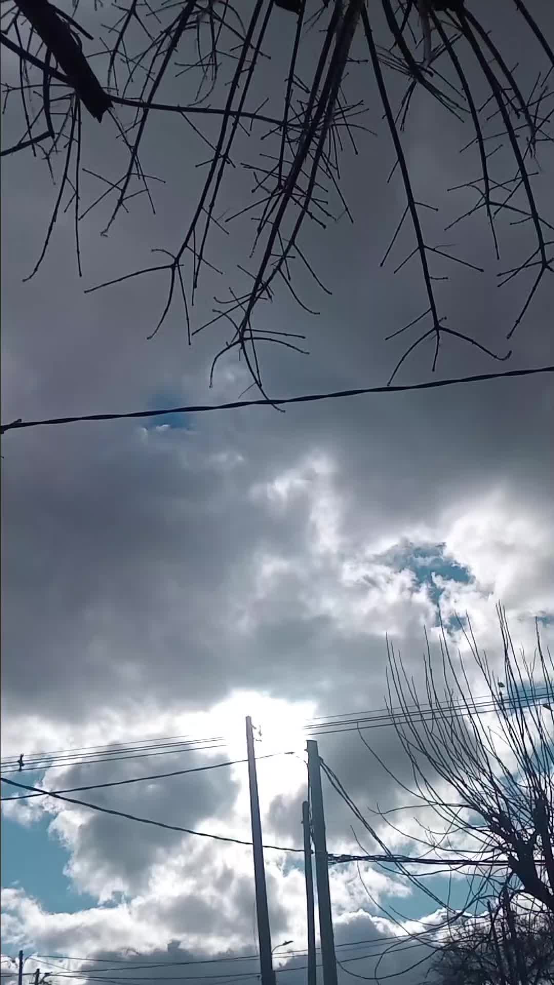 @elcarly