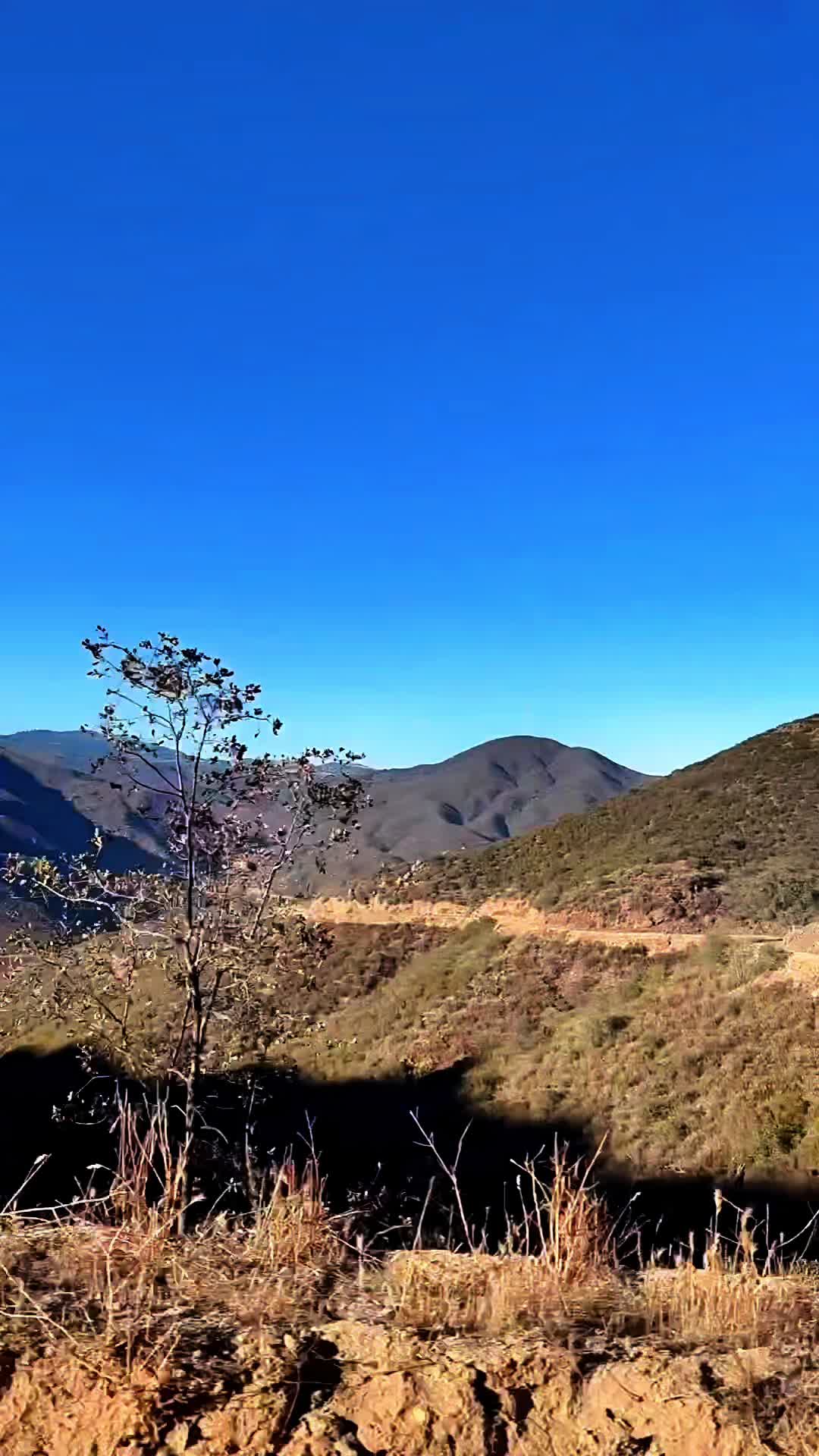 @Cris⛰️🌲