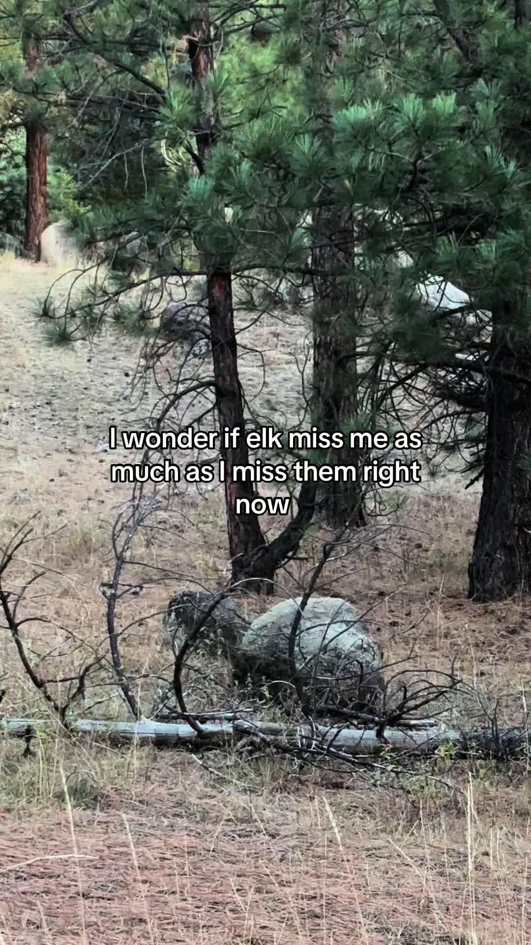 @James