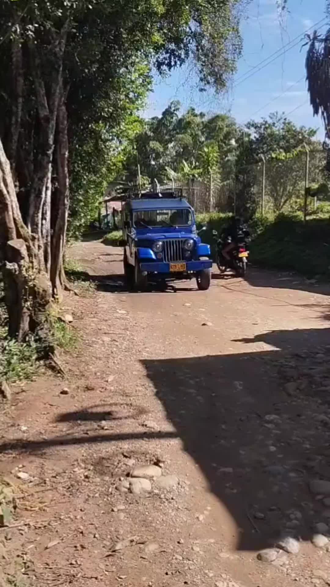 @neiderpulido