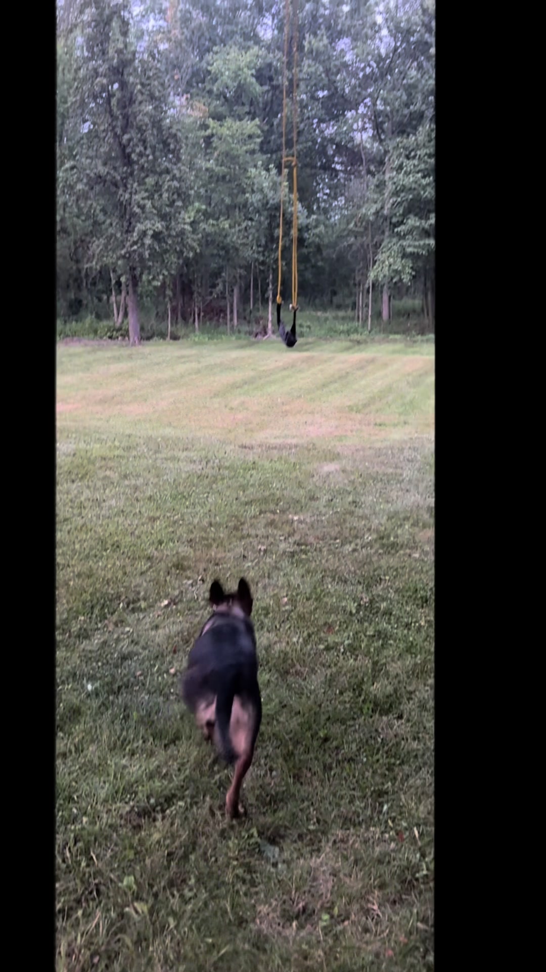 @K9peacekeeper