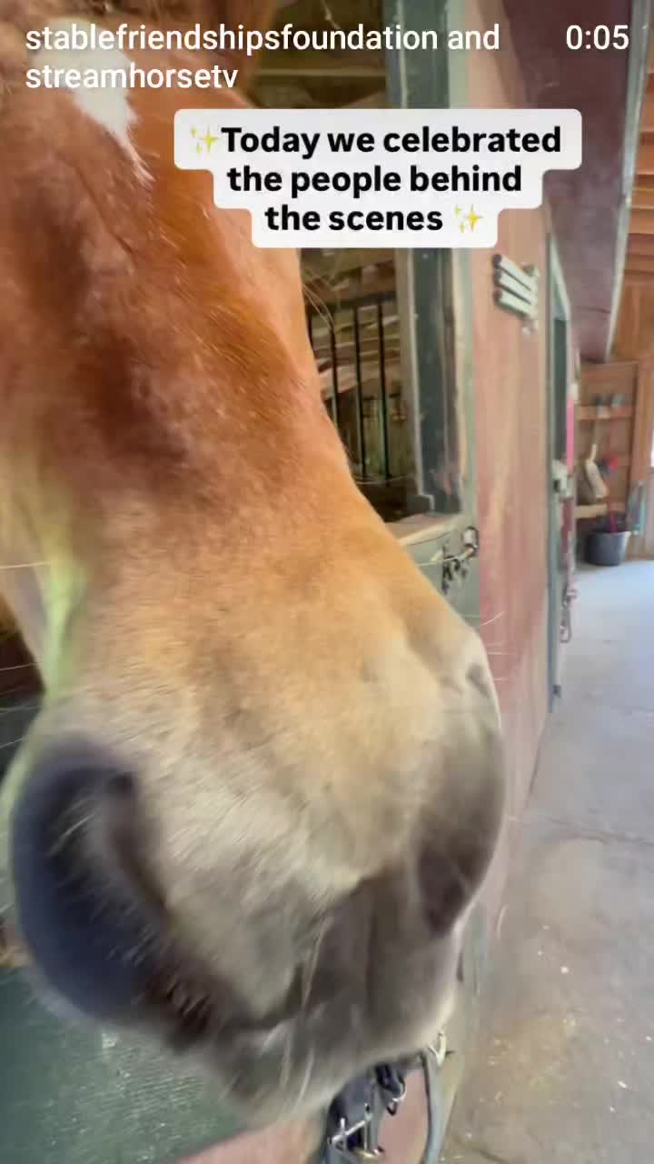 @streamhorse