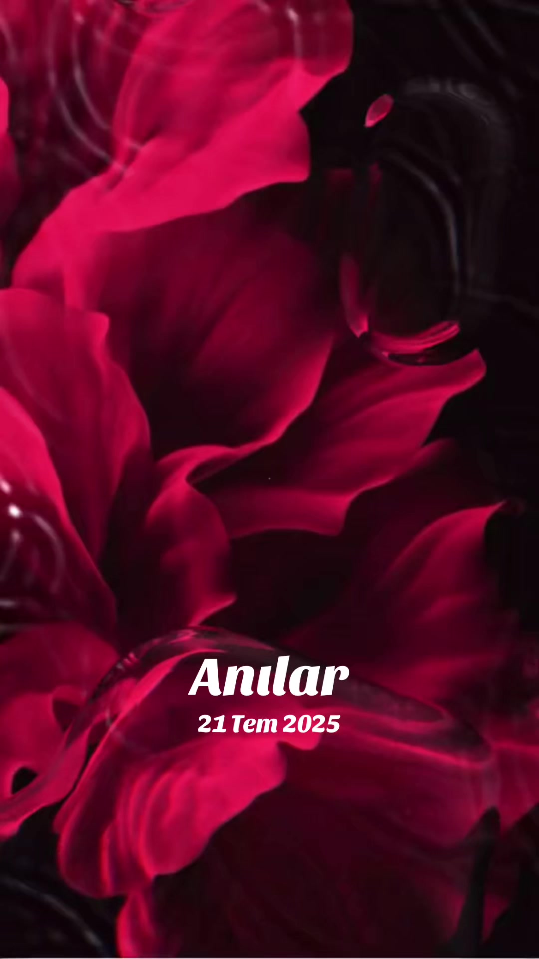 @Tülay