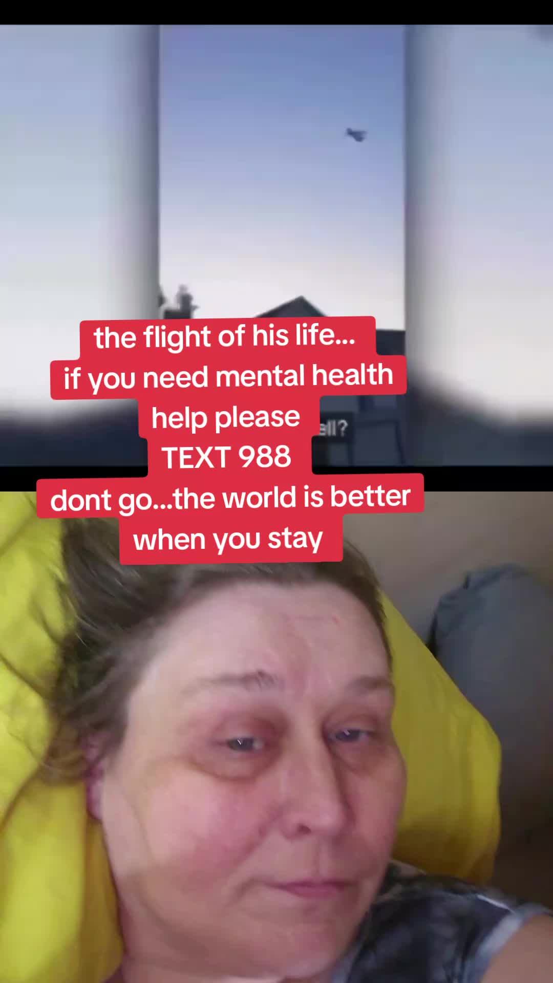 @jensule420